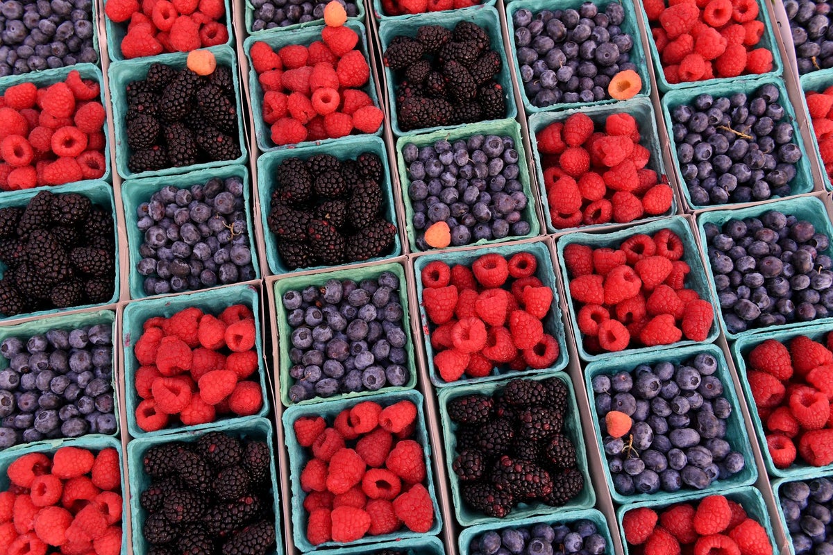 Rising berry prices are squeezing the finances of parents with toddlers – UK Times Rising berry prices are squeezing the finances of parents with toddlers – UK Times