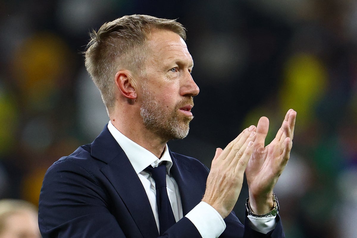 Sweden boss Graham Potter says someone may have bitten his ear during celebrations