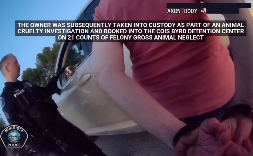 While officers were rescuing the spaniels, their owner arrived in an SUV carrying another 12 dogs (Murrieta Police Department)