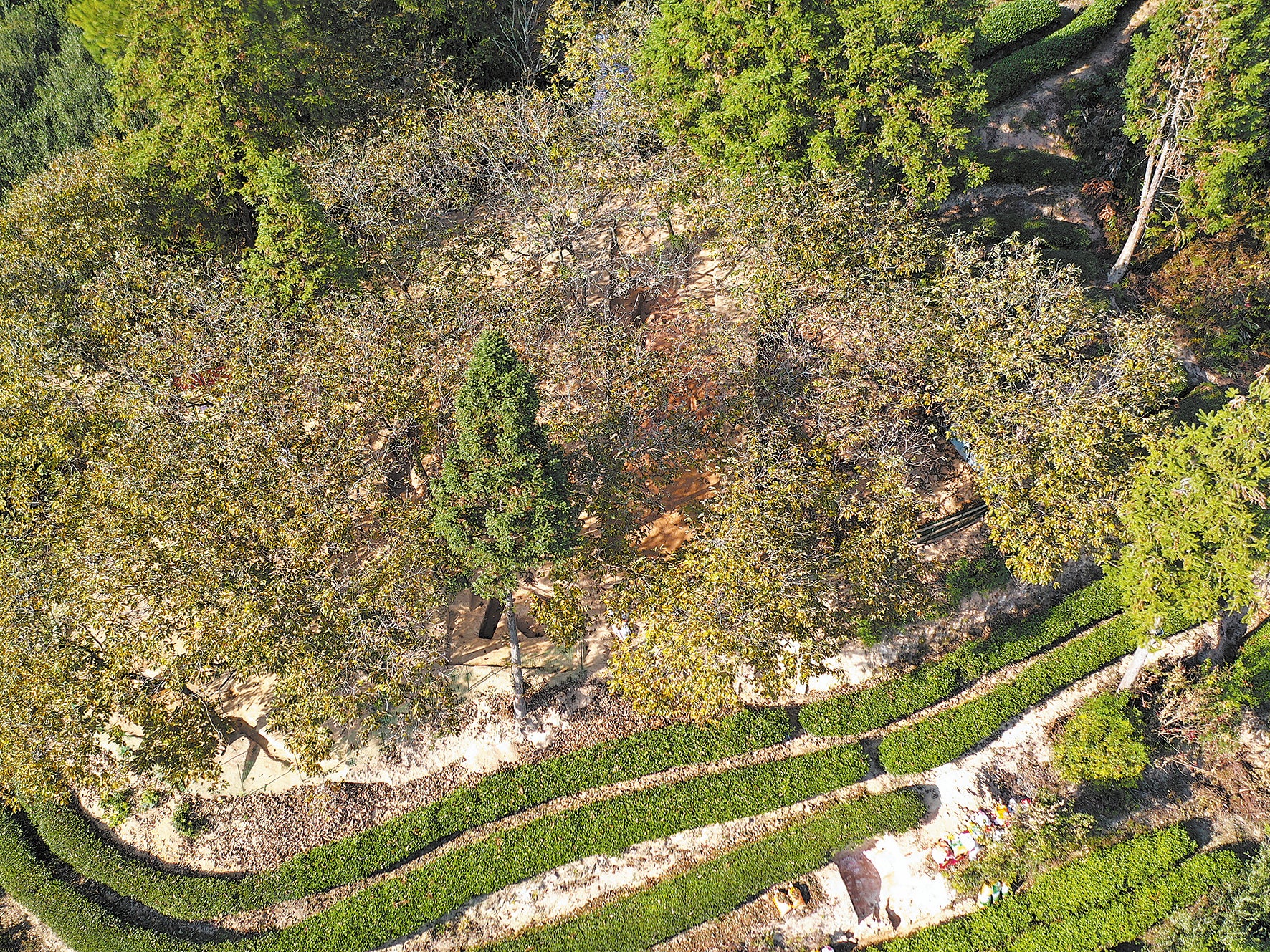 A panoramic view of the Kiln No 1 site at Zhulinkeng, nestled on a hillside in Fujian’s Mount Wuyi, where 3,000-year-old firing chambers remain remarkably well-preserved