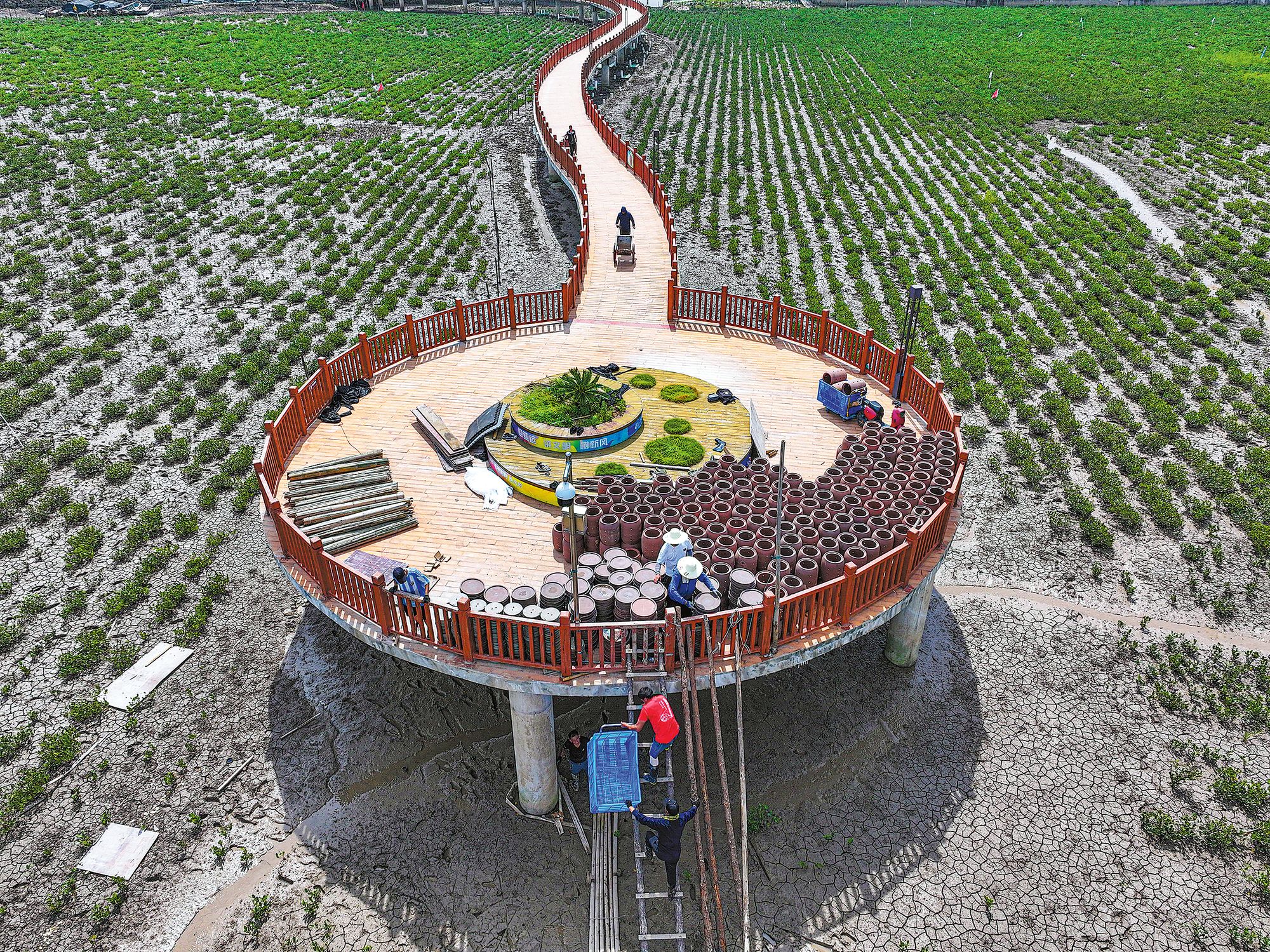 Workers set up crab pots in a mangrove swamp in Wenzhou, Zhejiang province, in July 2024