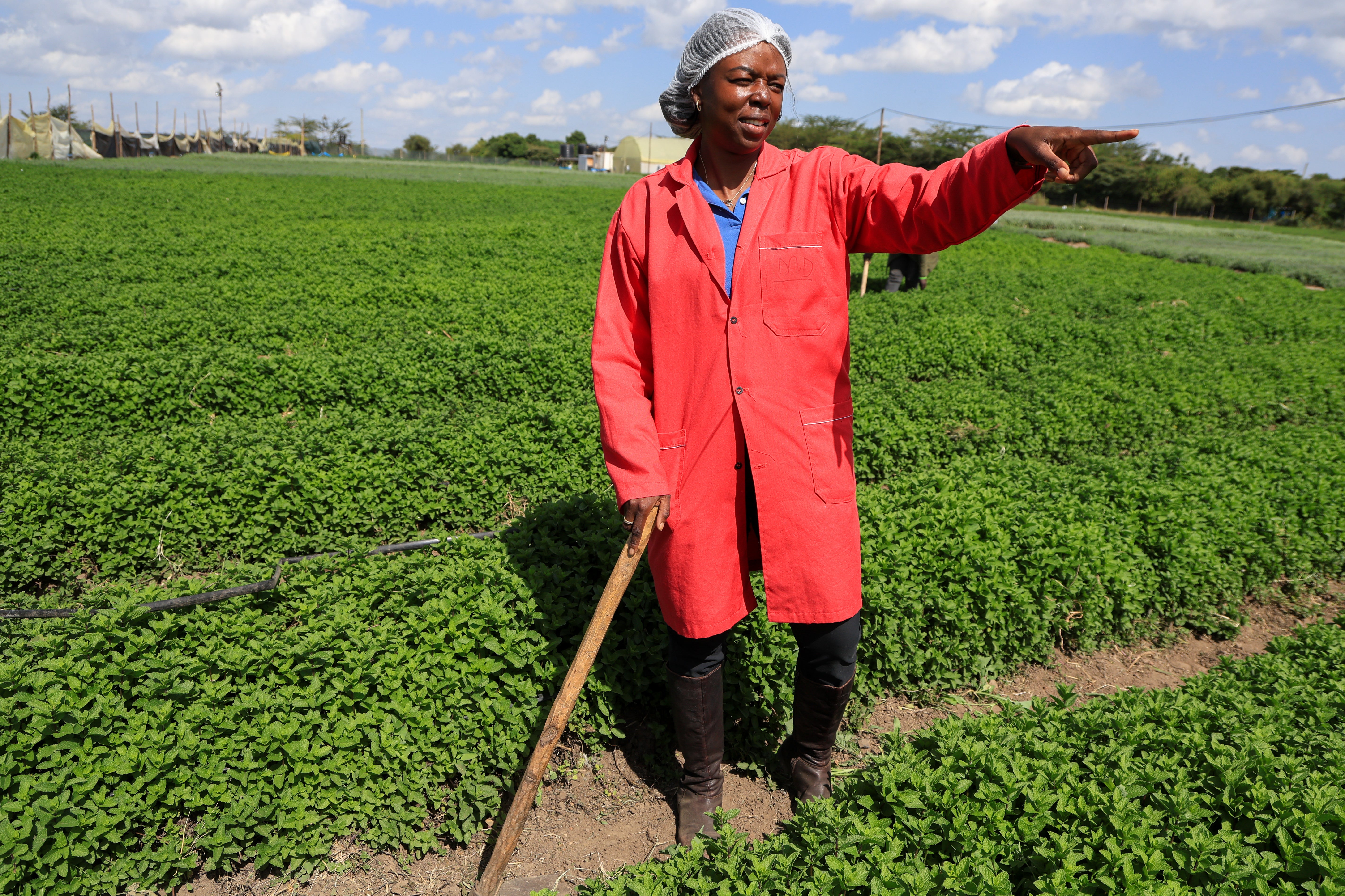 independent.co.uk - Allan Olingo - Solar cold storage helps African farmers cut losses and reach global markets