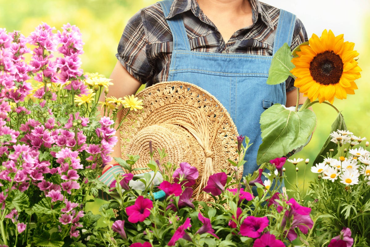 The most important gardening jobs to do in July