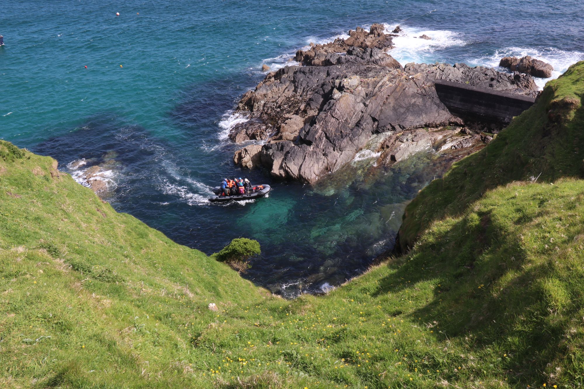 Boat trips around the islands allow a closer look at their wildlife