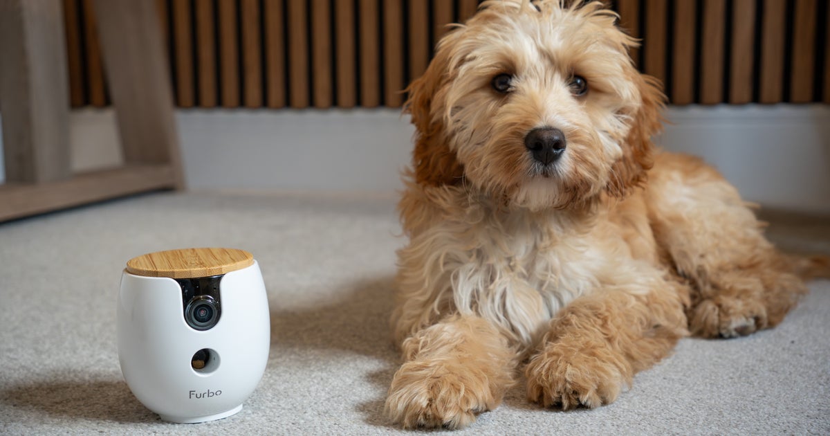 Furbo Mini 360 review: A treat-tossing dog cam with clever AI tech
