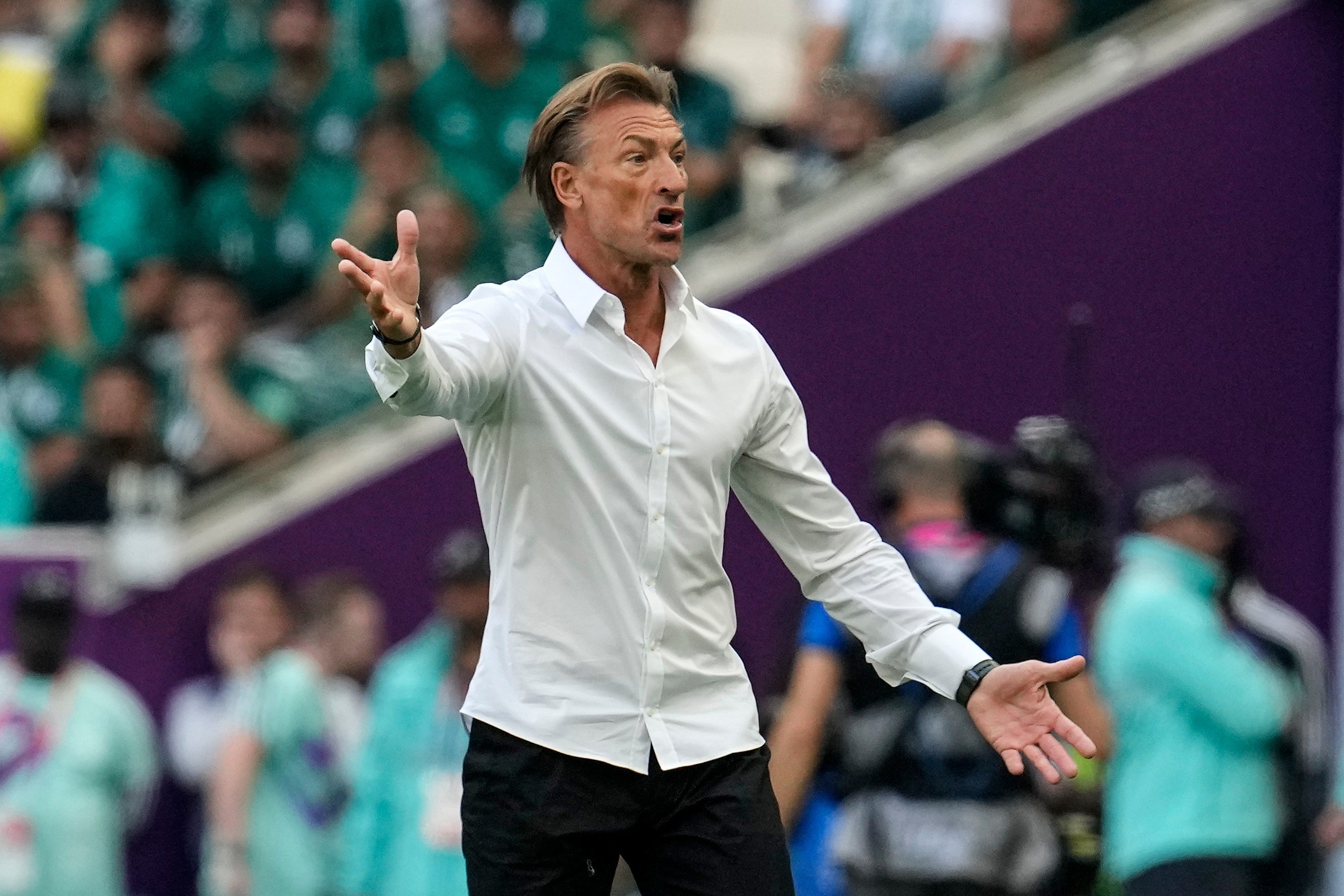MUNDIAL HERVE RENARD