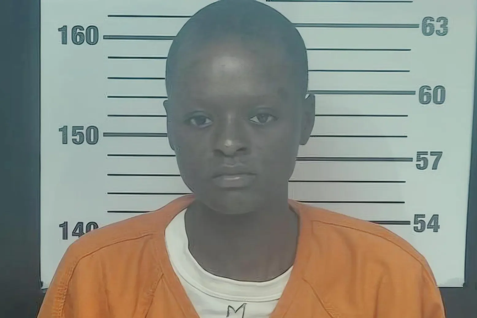 Vanessa Tjongarero-Henderson has been charged with first-degree murder in connection with the killing of her mother (Montgomery County Police Department)