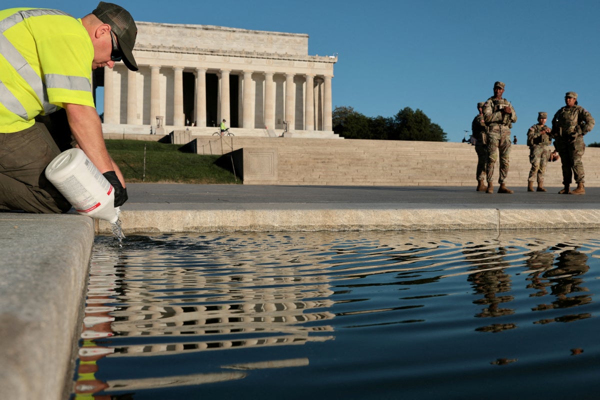 What Most People Get Wrong About the Reflecting Pool Algae Crisis