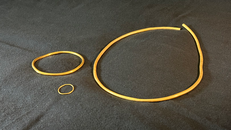 ドイツの鉄器時代の遺跡で金の宝飾品が発見される