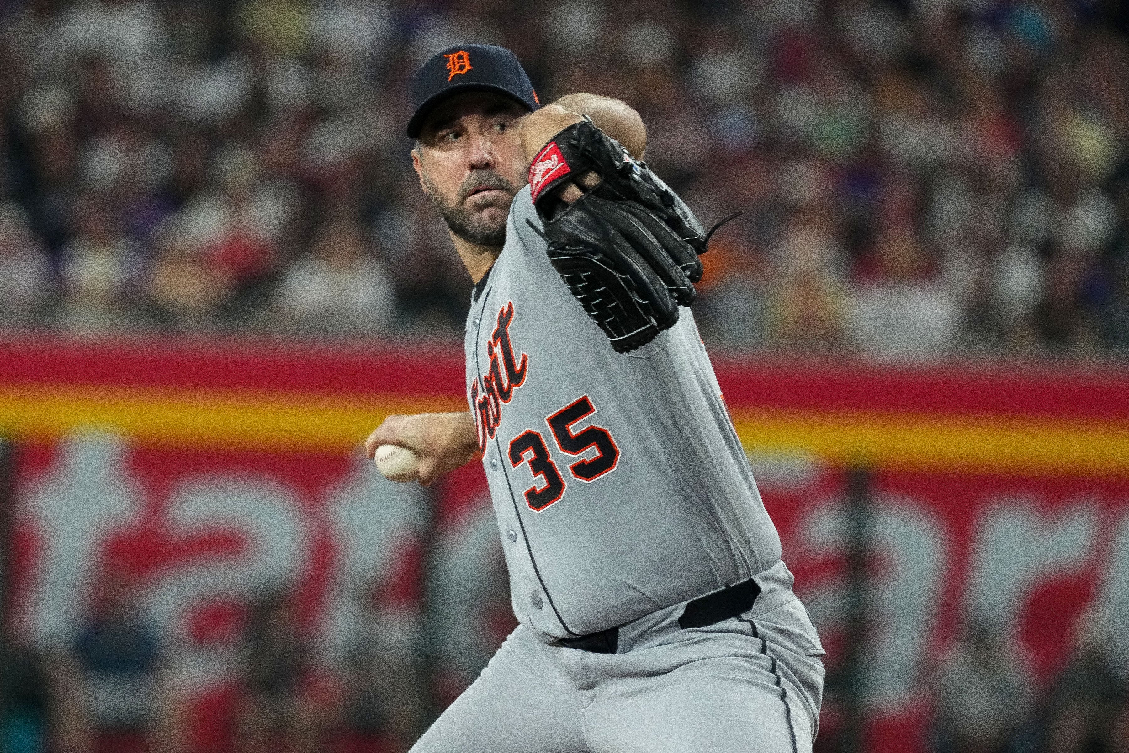 TIGRES-VERLANDER