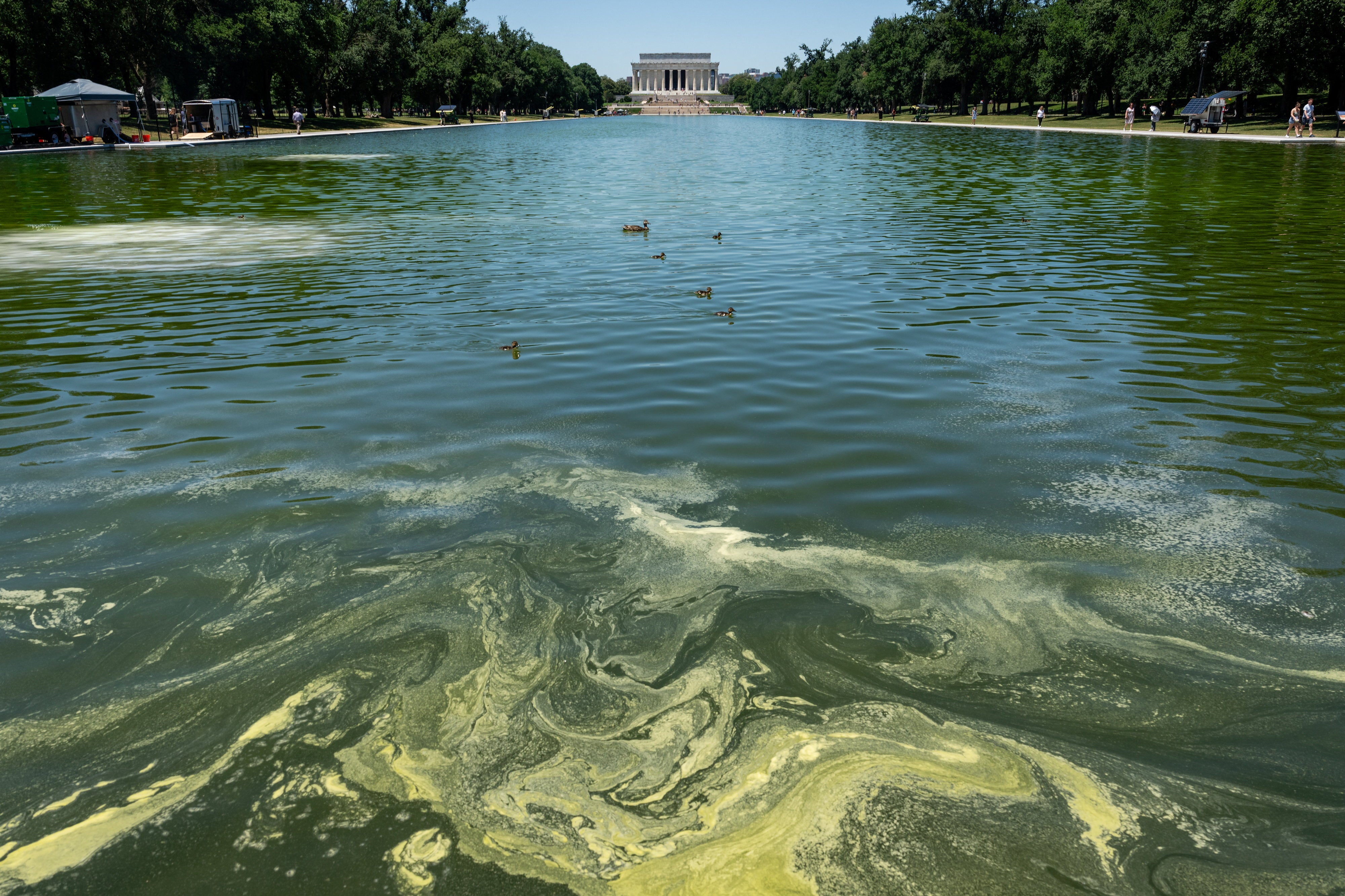 Experts said the new ‘American flag blue’ coating Trump requested may have contributed to the algae bloom by heating up the pool (Reuters)