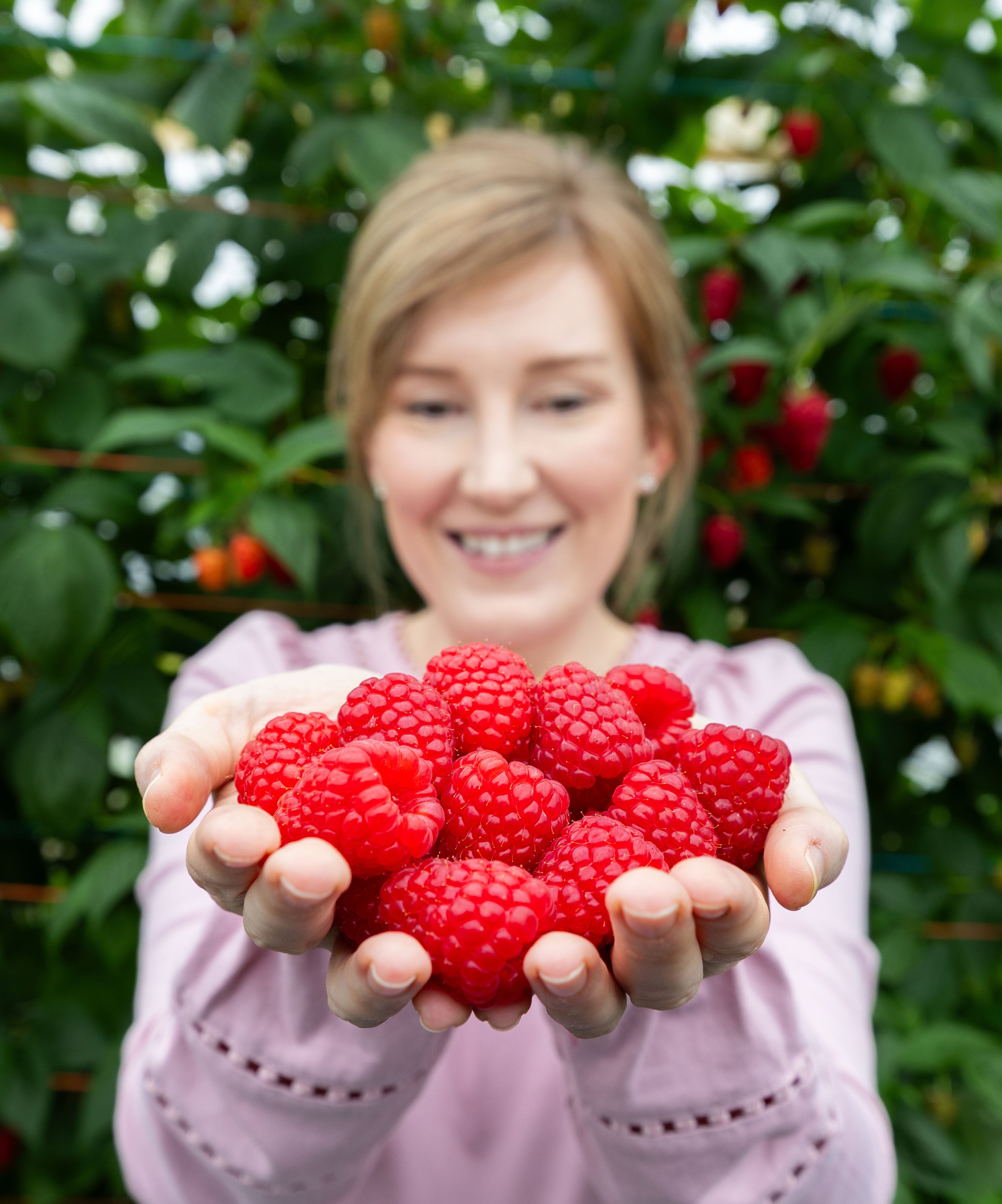 This year’s raspberries were said to be ‘something very special’ (Simon Price Media Assignments/PA) (PA Wire)