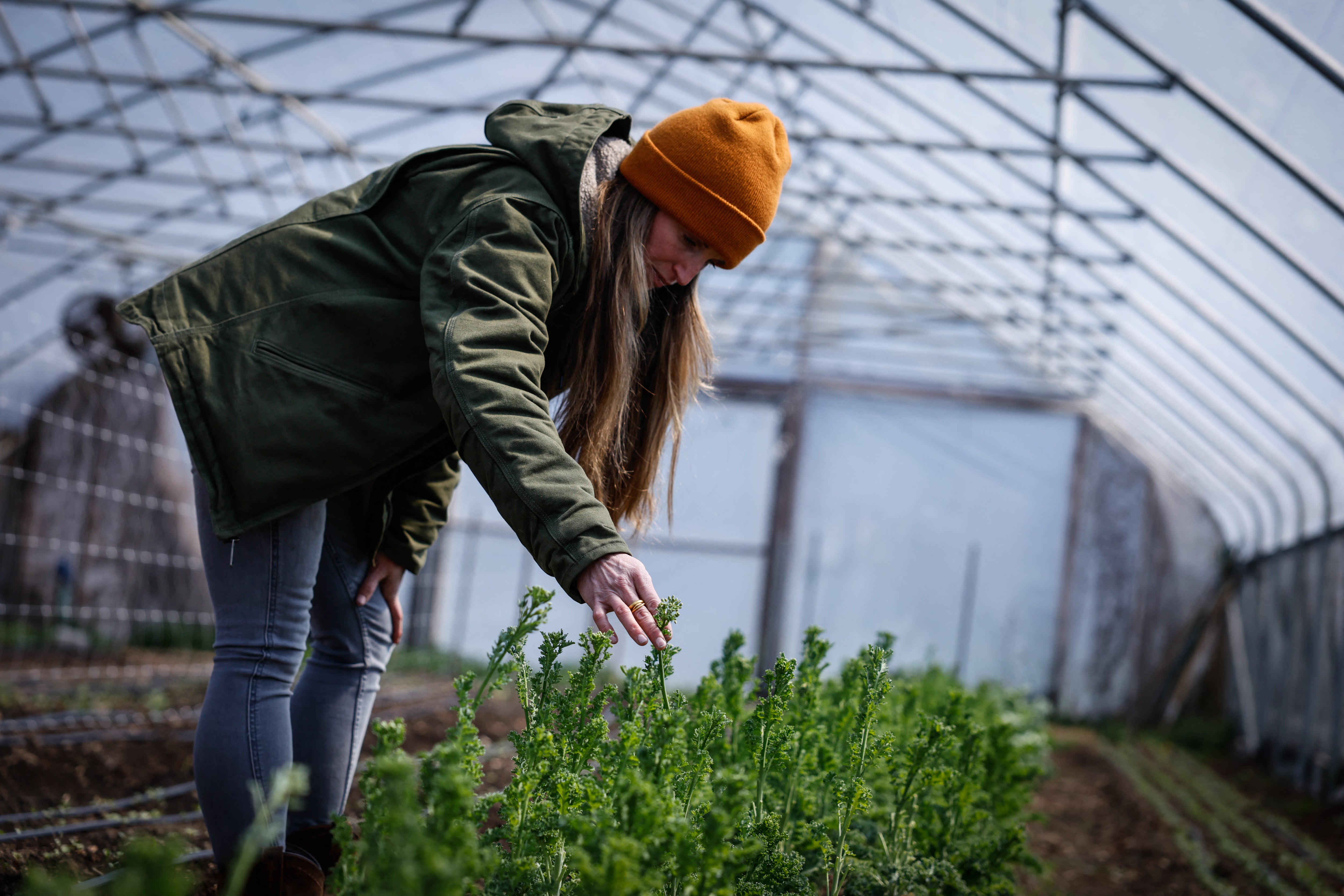 A woman checks on Kale plants at the Cropsey Community Farm greenhouse in New City, New York, last April. Kale and other leafy greens help to regulate blood sugar levels
