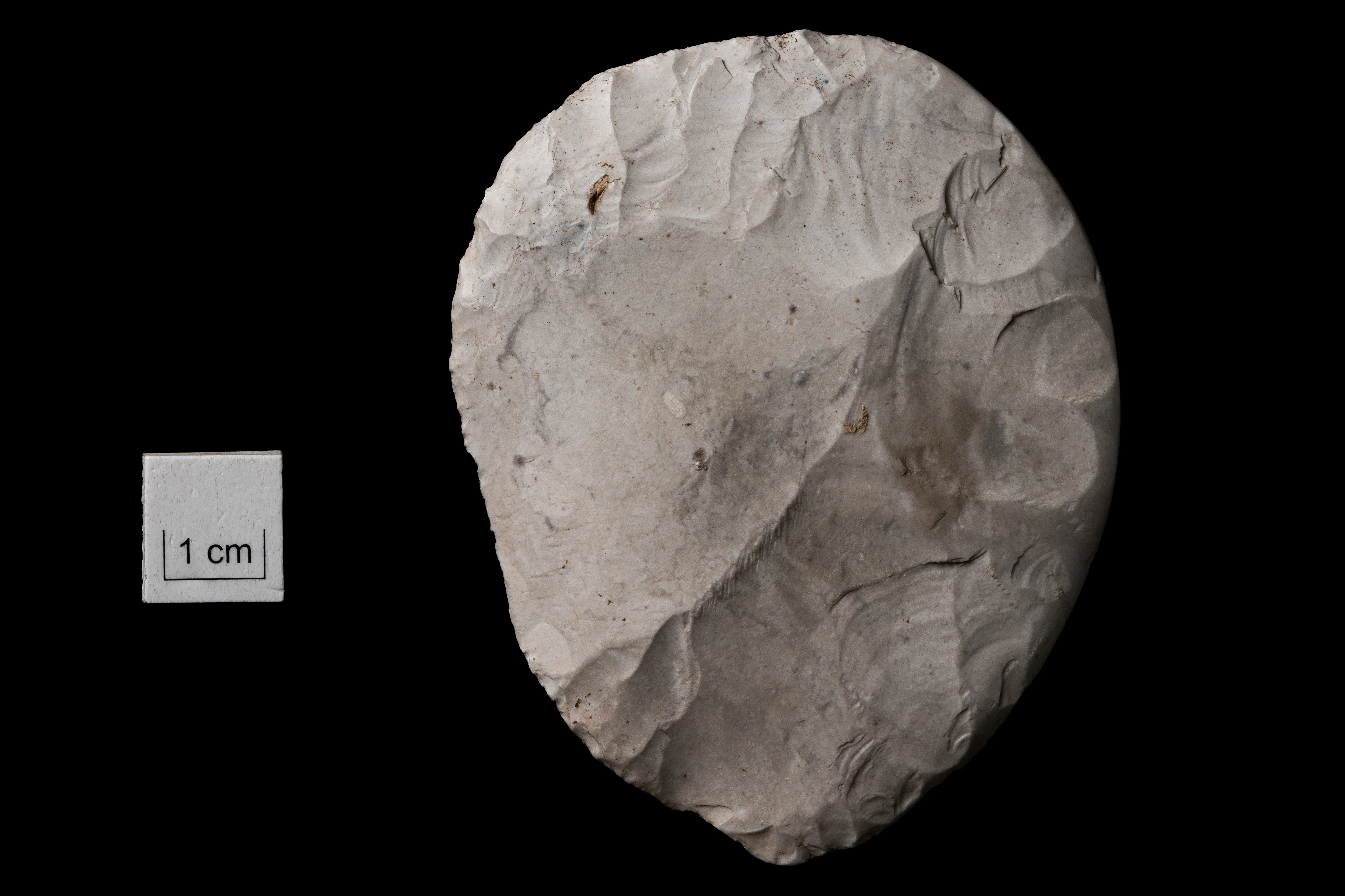 A disc-shaped flint knife was among the finds (Wessex Archaeology/PA)