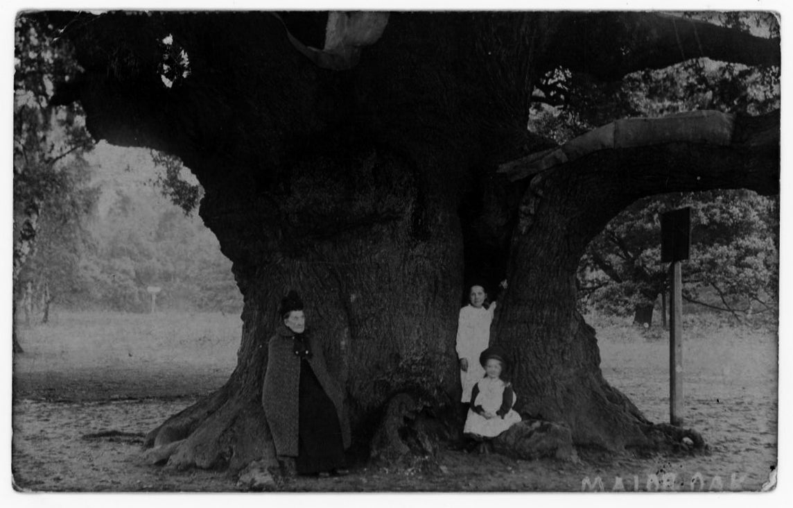 Historical postcard showing visitors standing around and in the Major Oak (Provided by Reg Harris/PA)