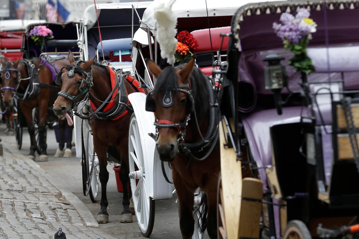 Teenager dies after being thrown from horse-drawn carriage in NYC’s Central Park – UK Times