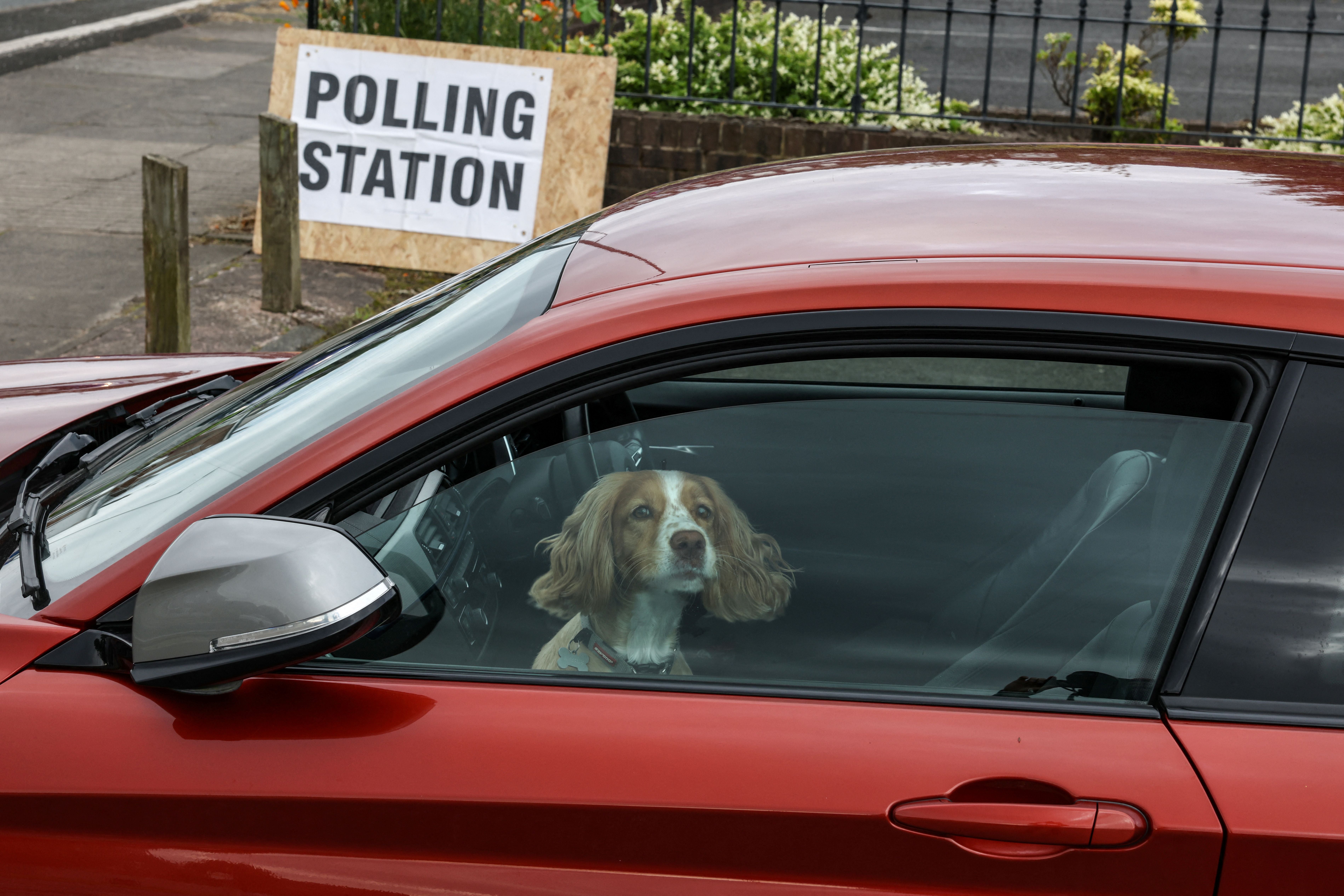 A dog waits in the car for its owner as they visit a makeshift polling station at a parish centre to cast their vote in Winstanley, Wigan (AFP/Getty)