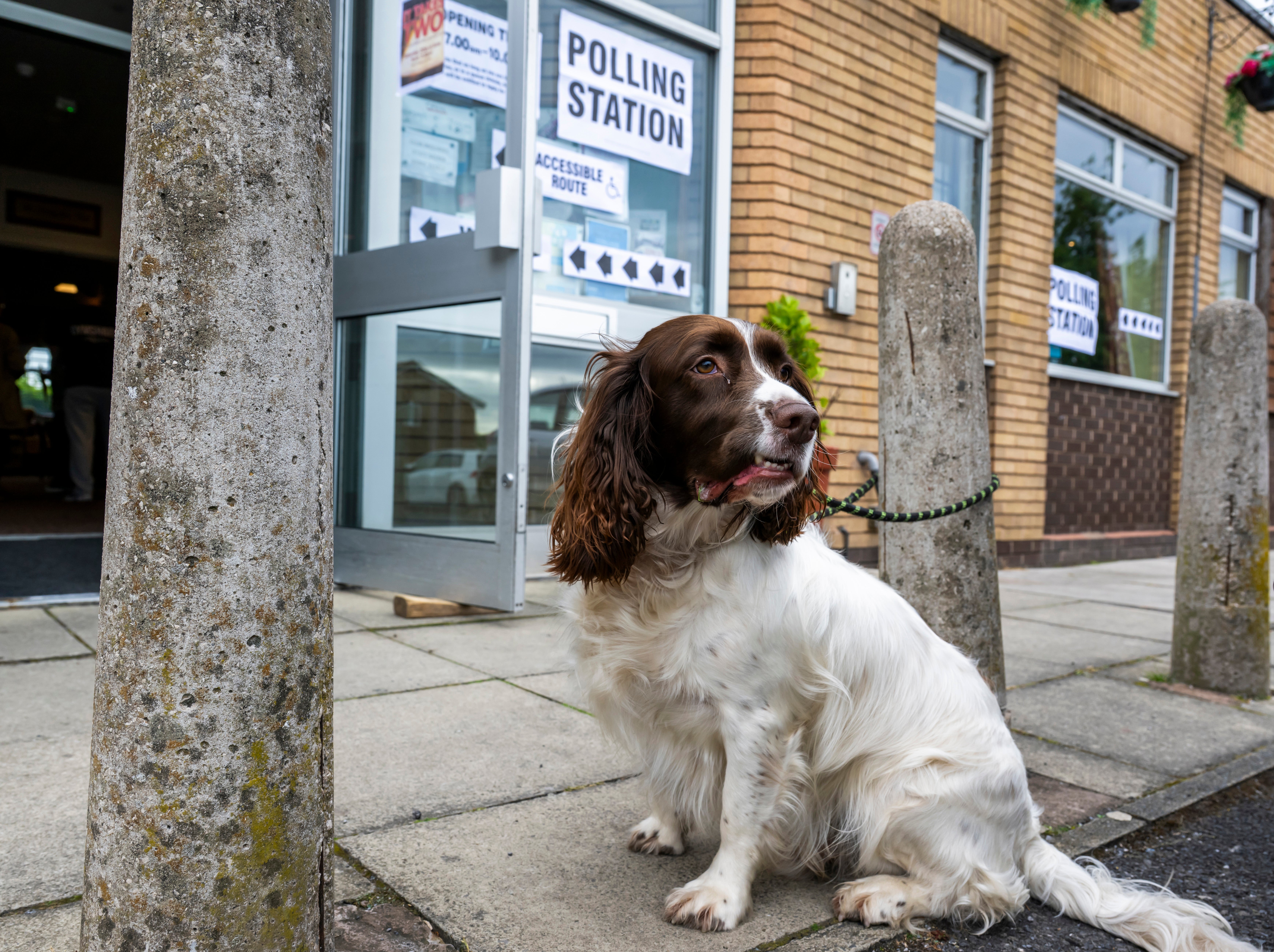 A dog waits outside St Aidan's Parish Centre in Winstanley (Getty)