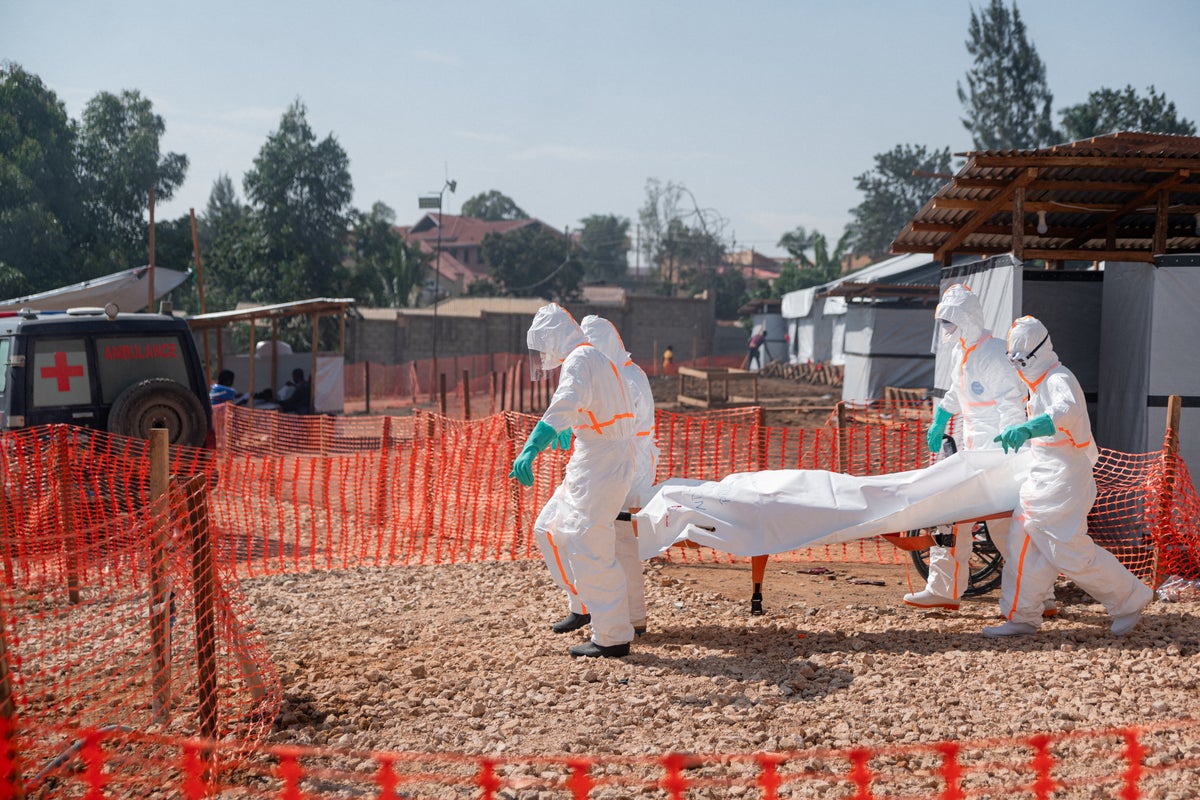 Ebola virus can remain in nervous system of recovered patients and relapse years later, study warns – UK Times Ebola virus can remain in nervous system of recovered patients and relapse years later, study warns – UK Times