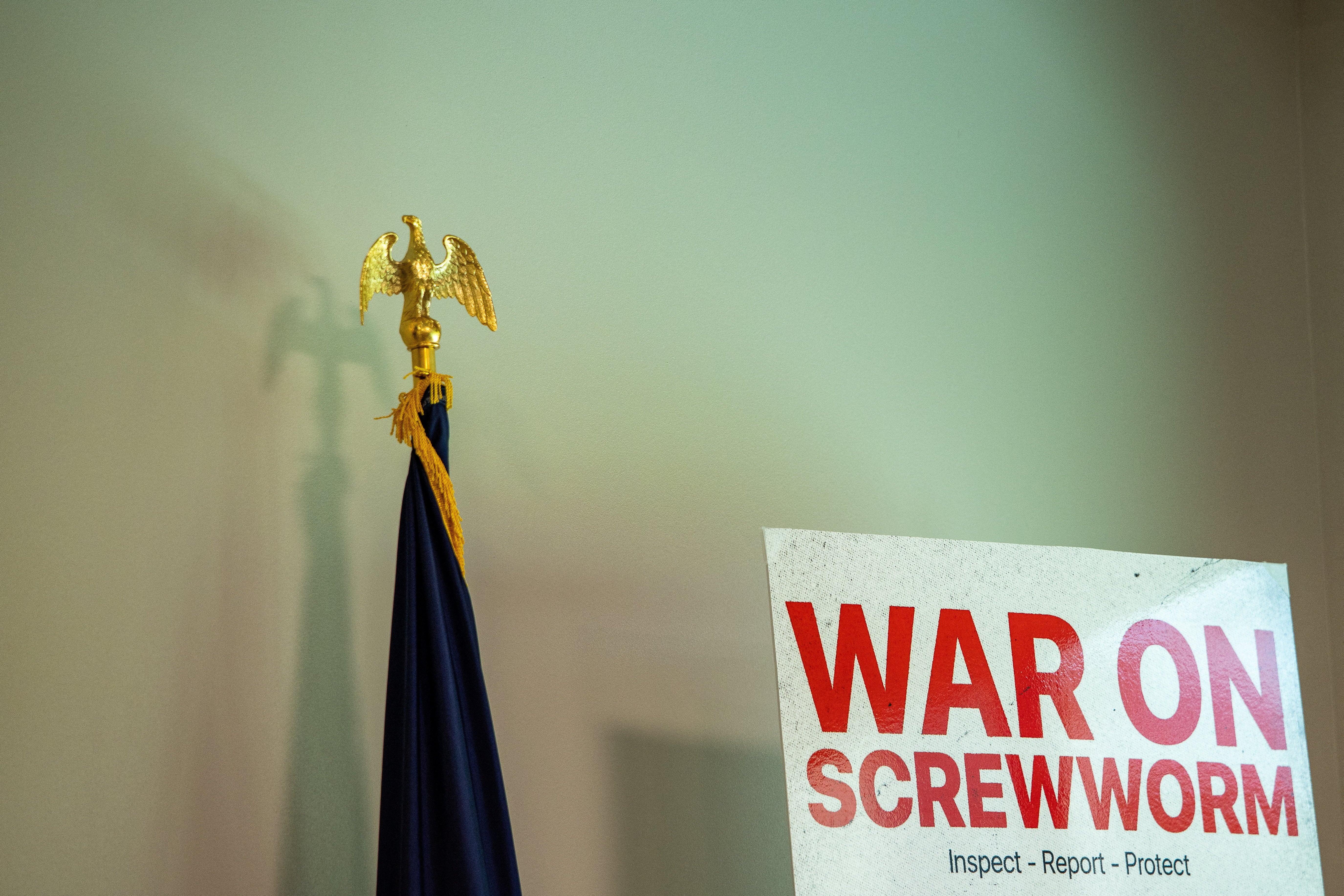 https://static.independent.co.uk/2026/06/18/11/2026-06-08T210306Z_633624935_RC2UPLATP8R5_RTRMADP_3_USA-SCREWWORM.JPG?trim=0,0,1,0&width=1200&height=800&crop=1200:800