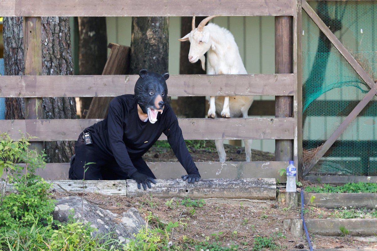 Man dressed up as black bear ‘attacks’ Japanese school in bizarre safety drill