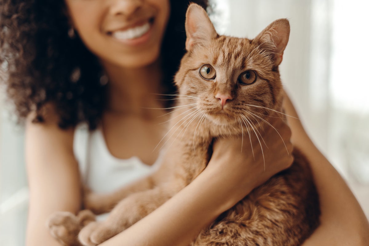 Novo estudo revela quanto cada geração gasta com animais de estimação Novo estudo revela quanto cada geração gasta com animais de estimação