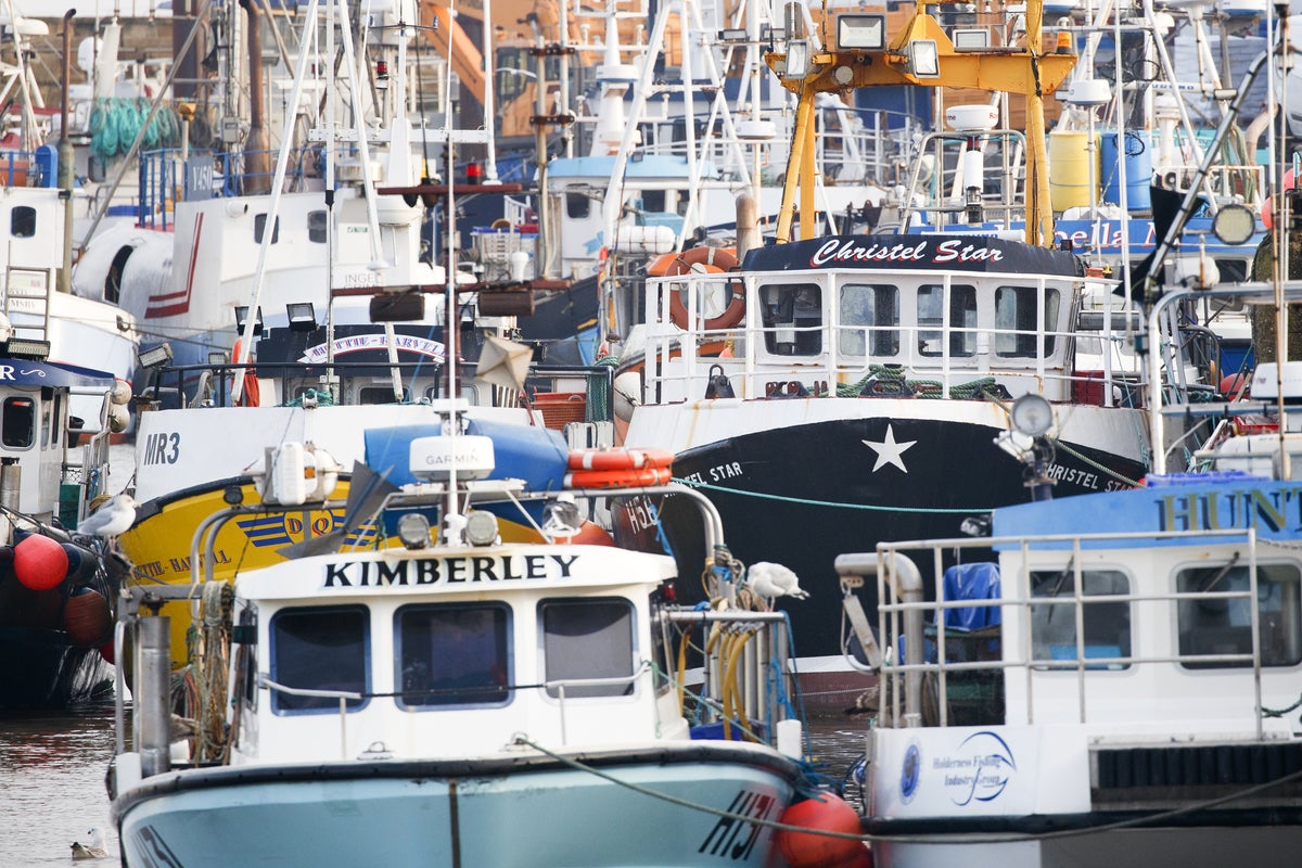 Brexit has cut trade in almost every sector of the UK economy, study warns – UK Times Brexit has cut trade in almost every sector of the UK economy, study warns – UK Times