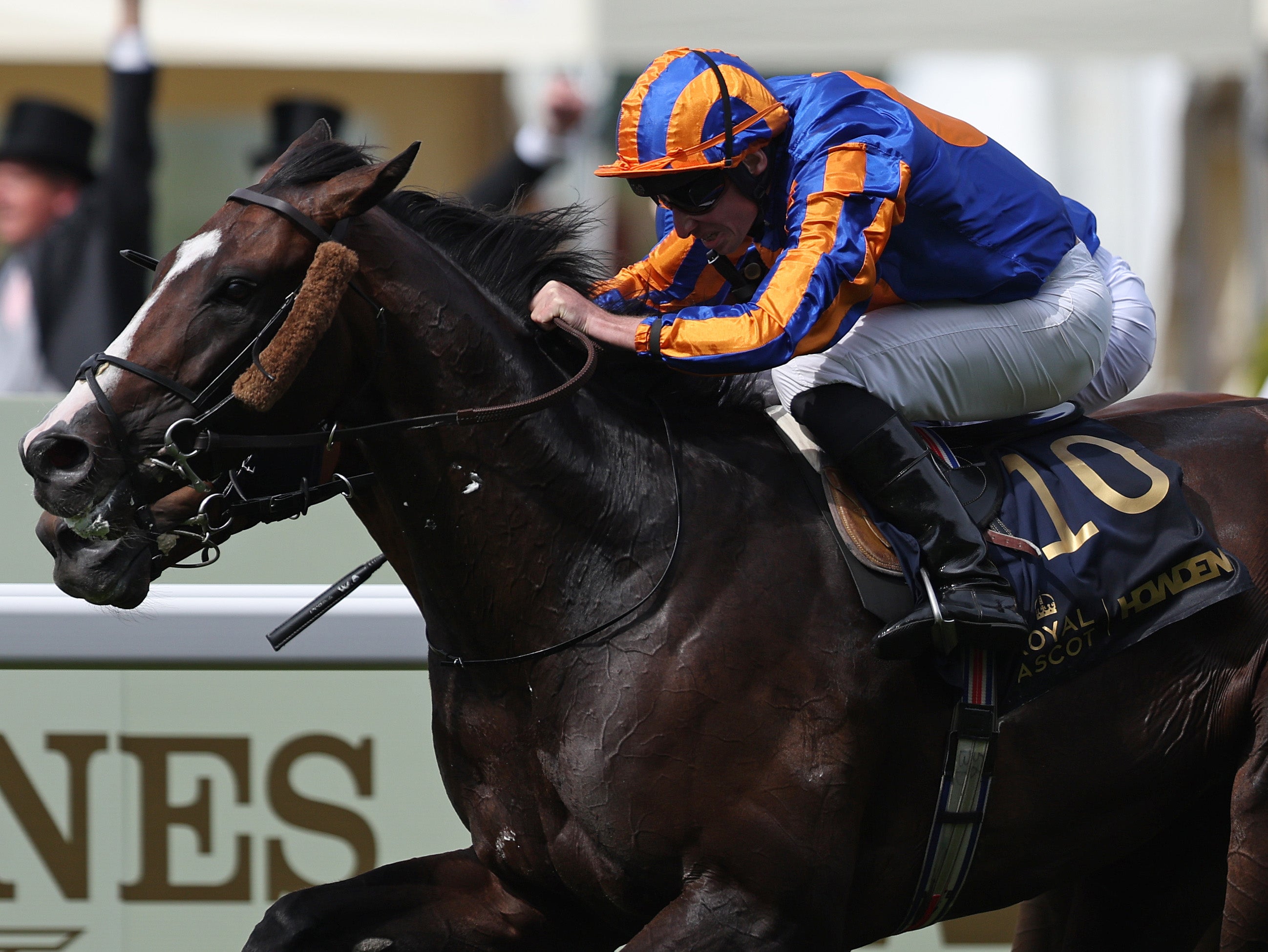 Scandinavia won a thrilling race (Getty)