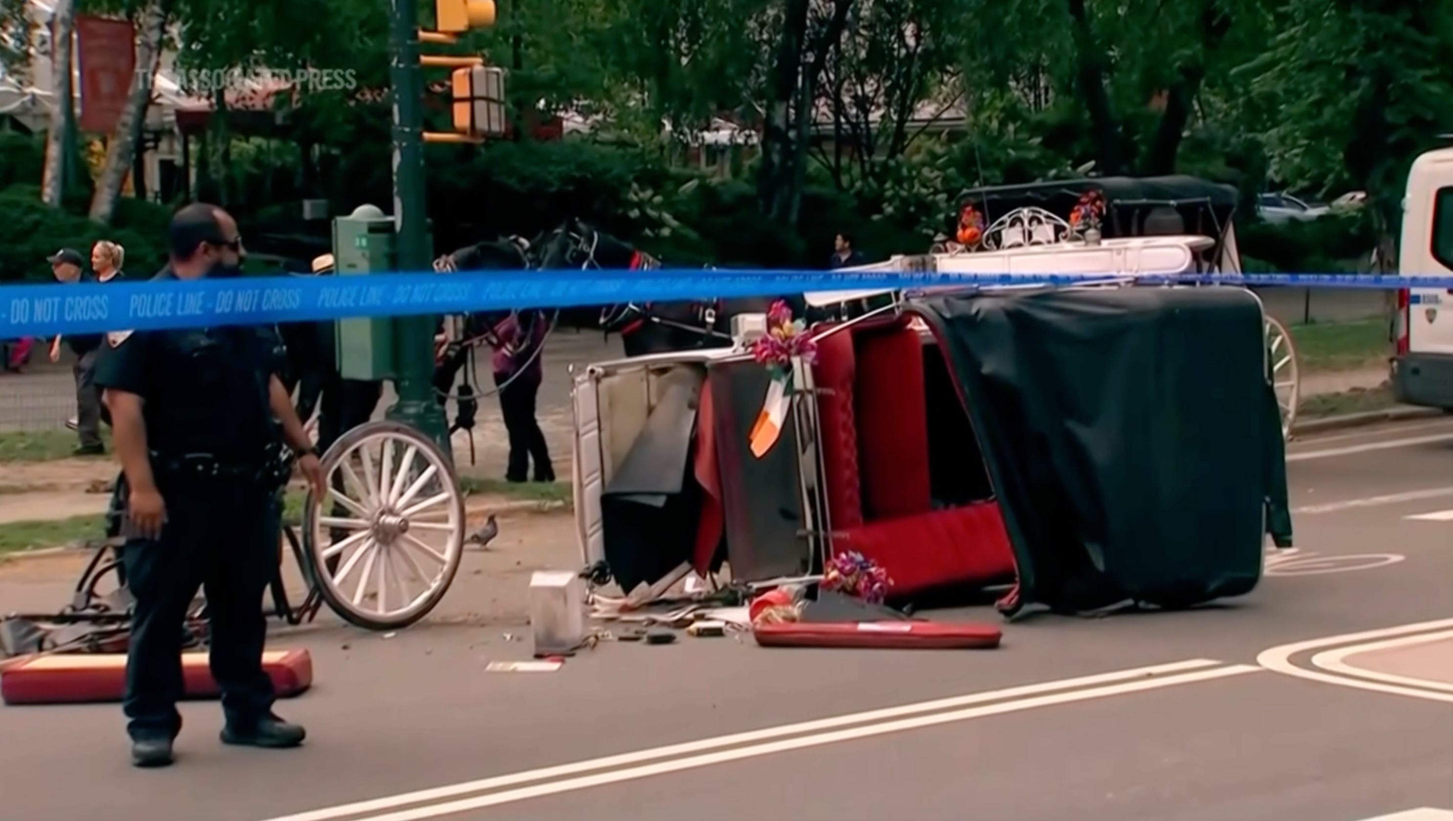Tourist’s death reignites calls to ban horse-drawn carriages in Central Park