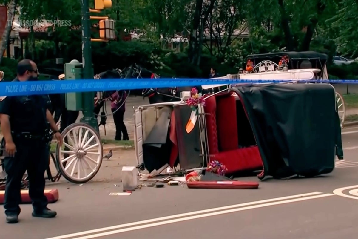 Tourist&rsquo;s death reignites calls to ban horse-drawn carriages in Central Park