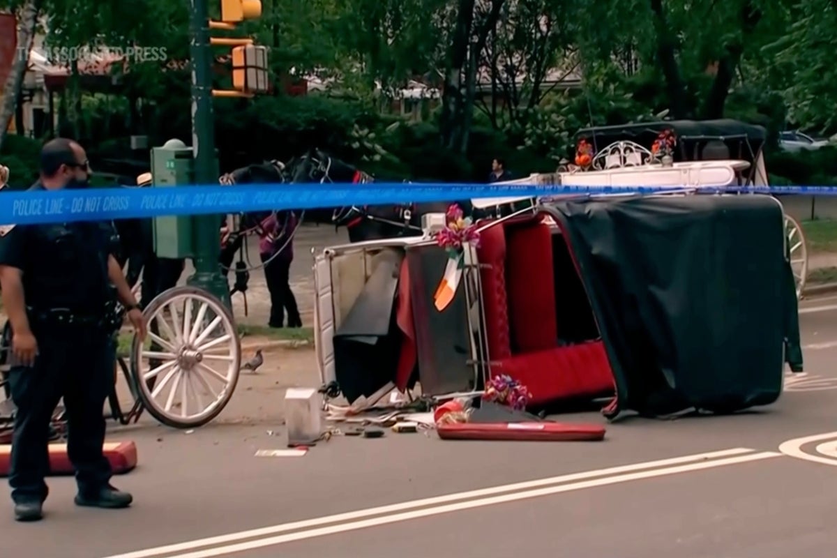 Morte de turistas gera novos apelos para proibir carruagens puxadas por cavalos no Central Park Morte de turistas gera novos apelos para proibir carruagens puxadas por cavalos no Central Park