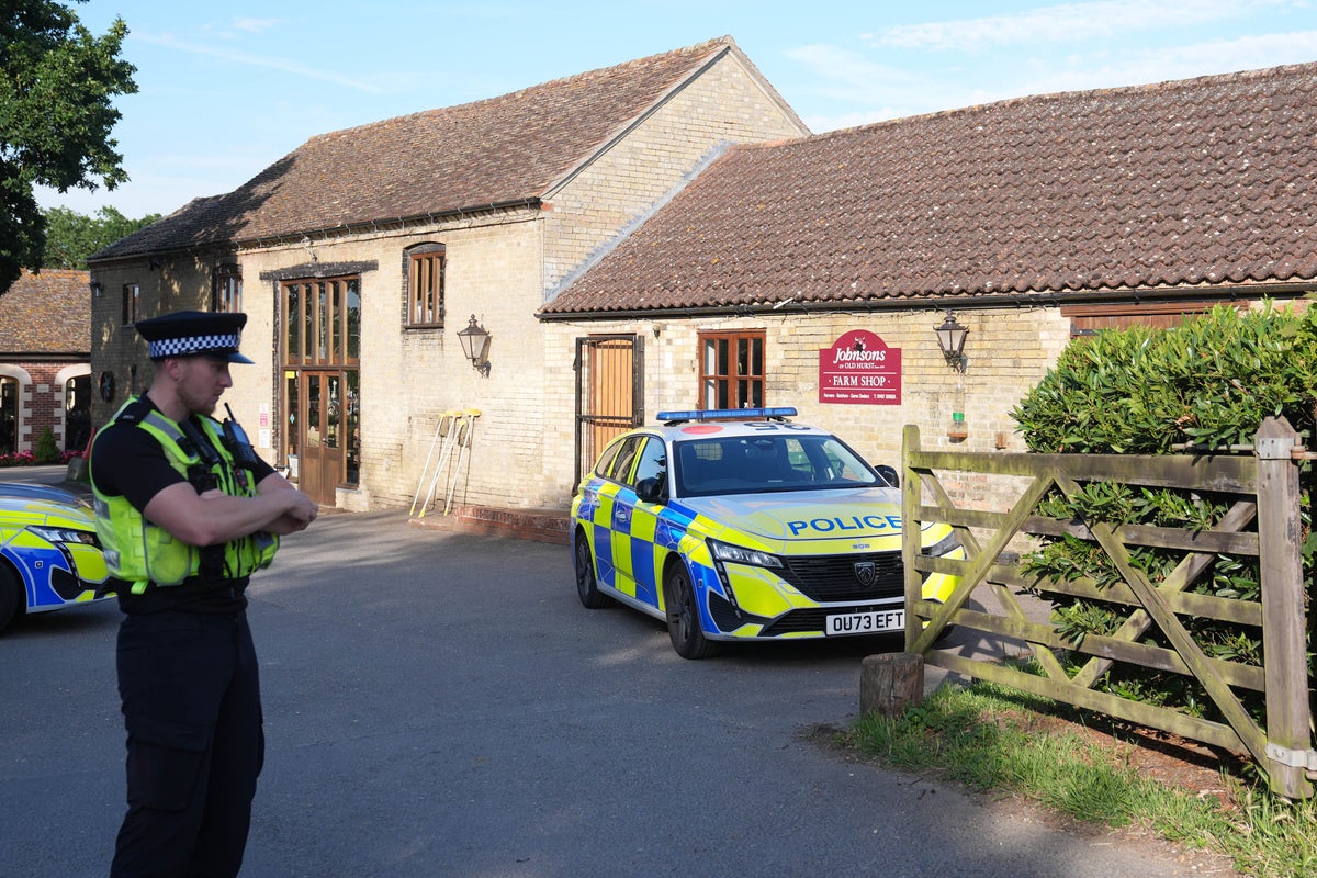 UK zoo issues update after boy seriously injured in crocodile enclosure