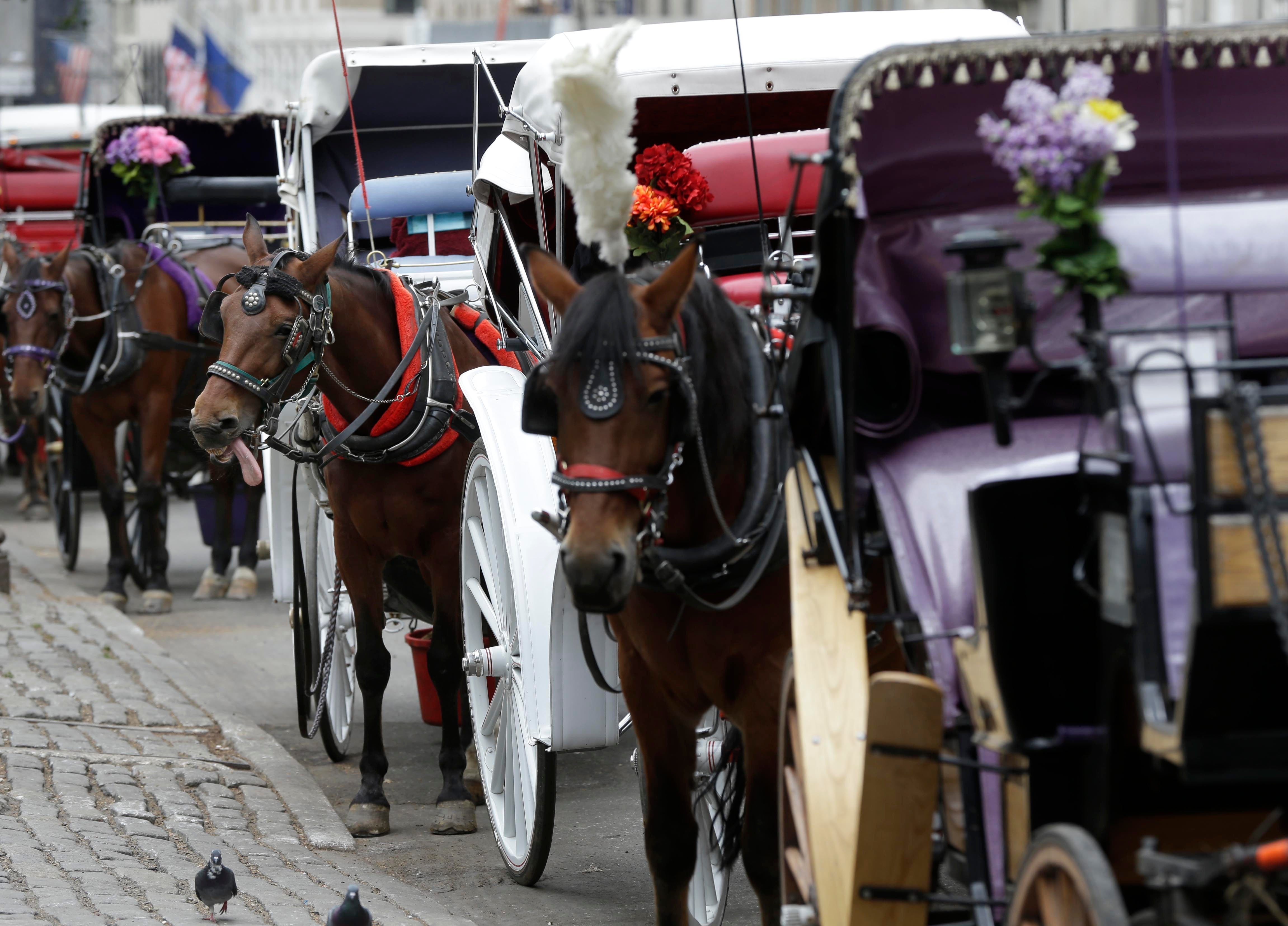 Some argue that the carriages are a public safety hazard in the increasingly crowded park, noting that other U.S. cities, including Chicago and San Antonio, have also recently done away with the nostalgic rides (AP Photo/Seth Wenig)