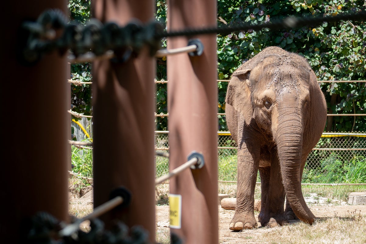Should Animals Have Human Rights? Hawai‘i Court To Decide Should Animals Have Human Rights? Hawai‘i Court To Decide
