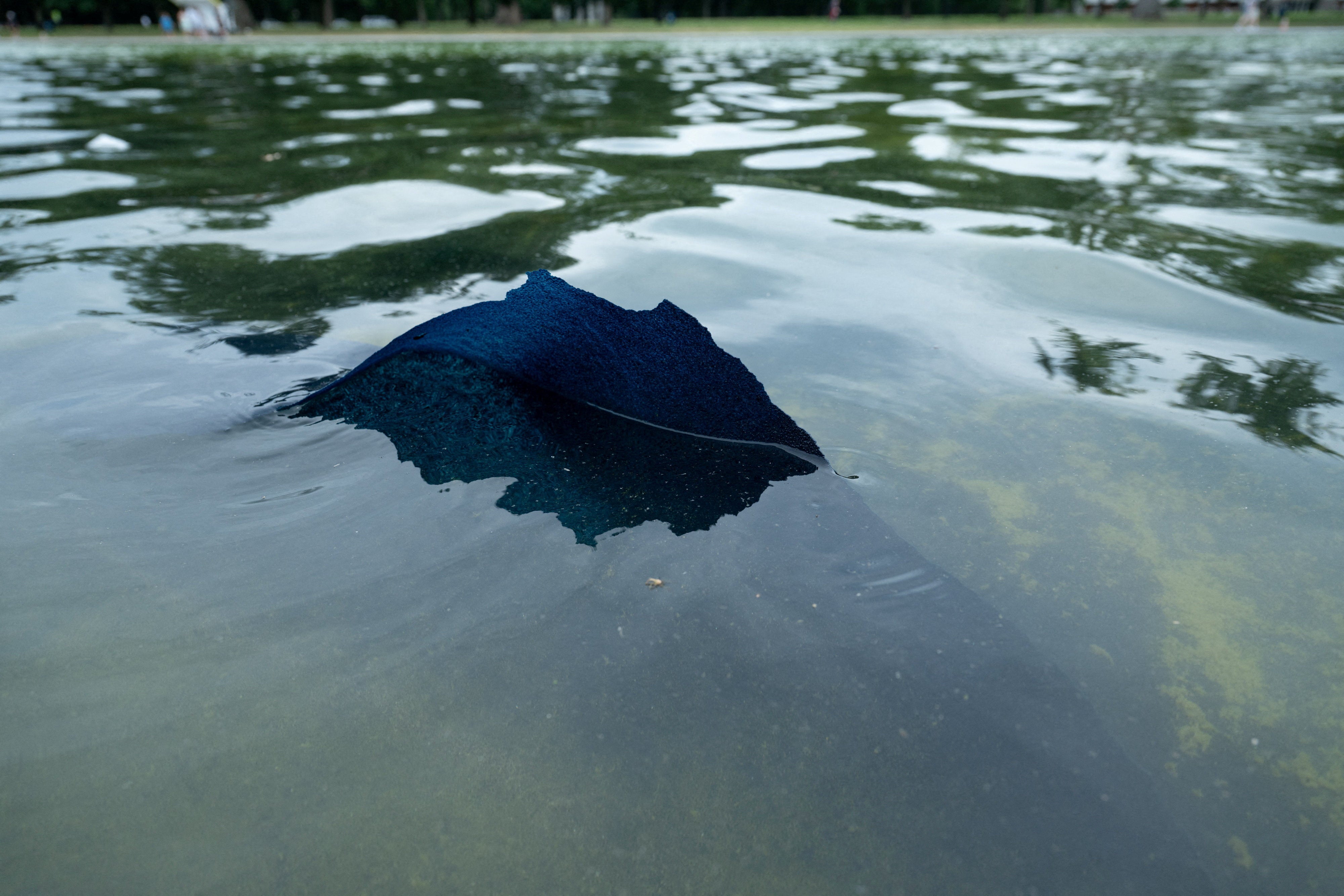 Trump has praised the ‘American flag blue’ paint job that lines the shallow pool, which was covered in algae blooms shortly after renovations were completed