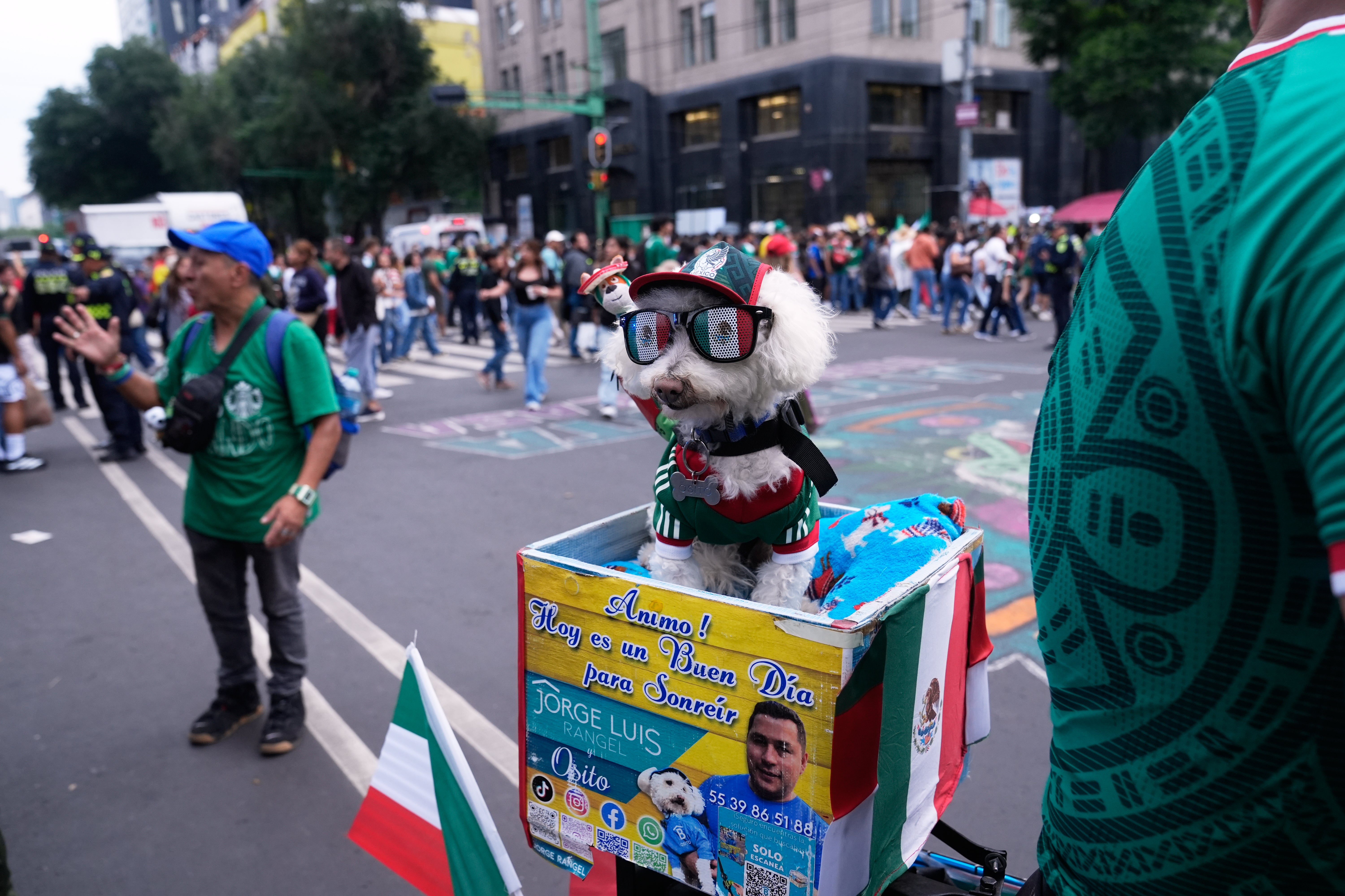 For his owner, Jorge Rangel, the attention is less about internet fame than the companionship he shares with the dog who accompanies him almost everywhere