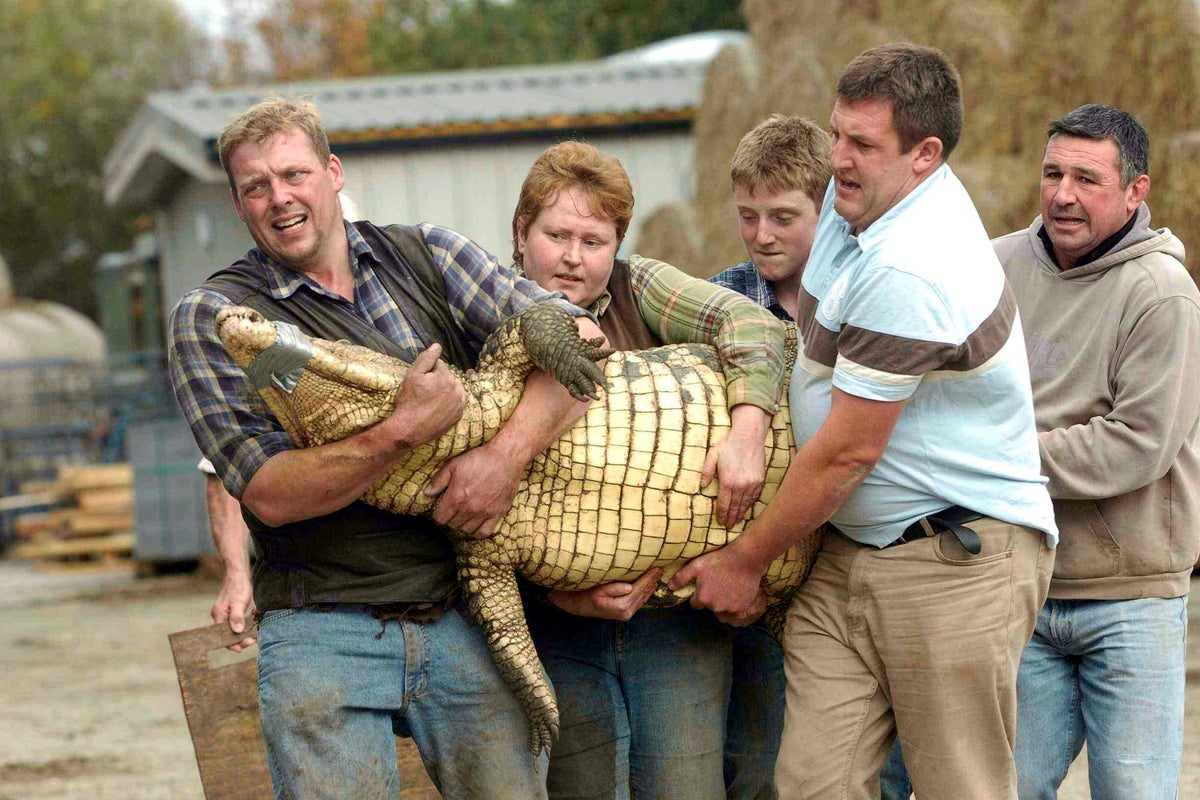 ‘Incredibly heroic’ zookeeper ‘jumped down 15ft drop’ to rescue boy from crocodile enclosure – UK Times ‘Incredibly heroic’ zookeeper ‘jumped down 15ft drop’ to rescue boy from crocodile enclosure – UK Times