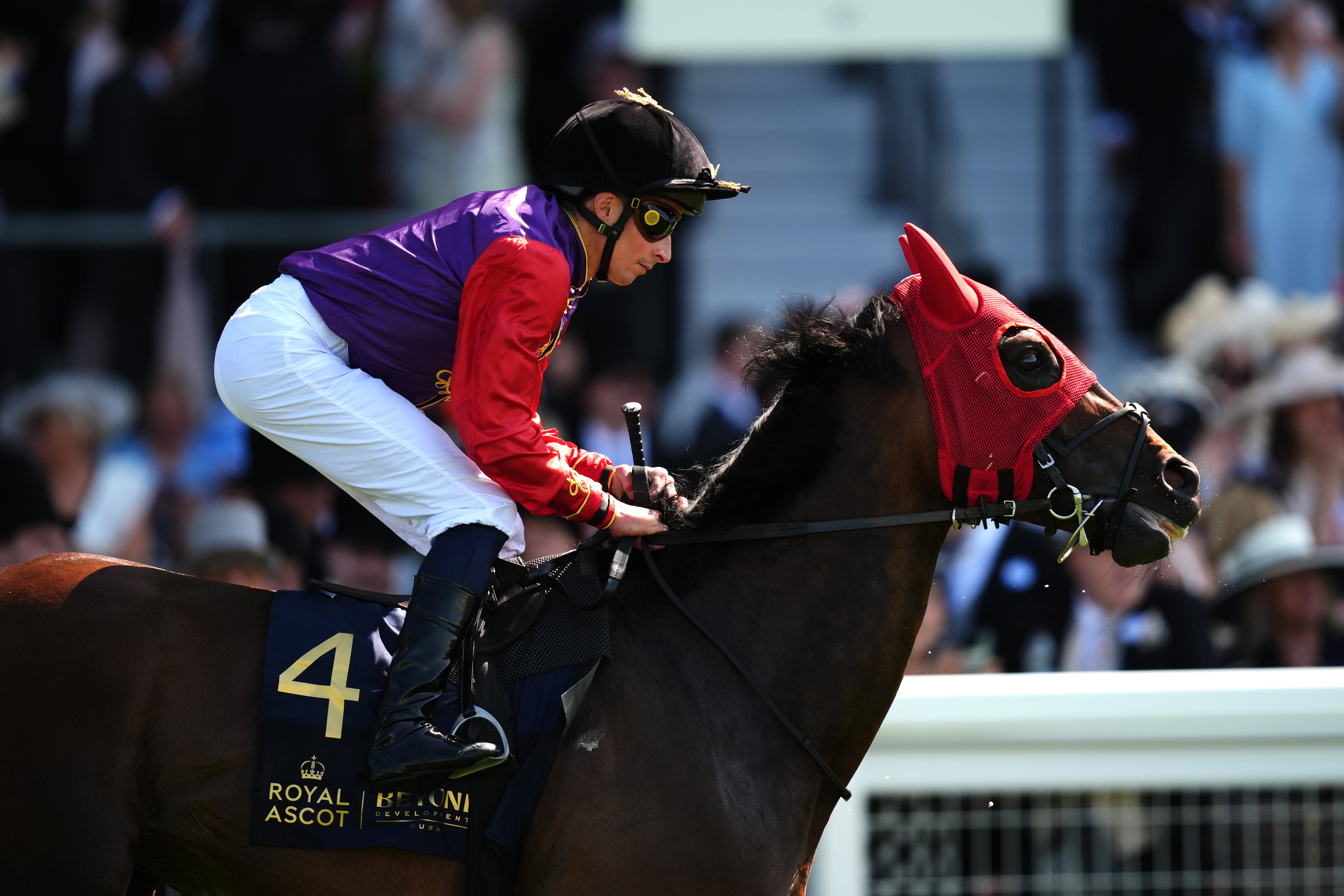 Warrant Holder could only finish second (PA)