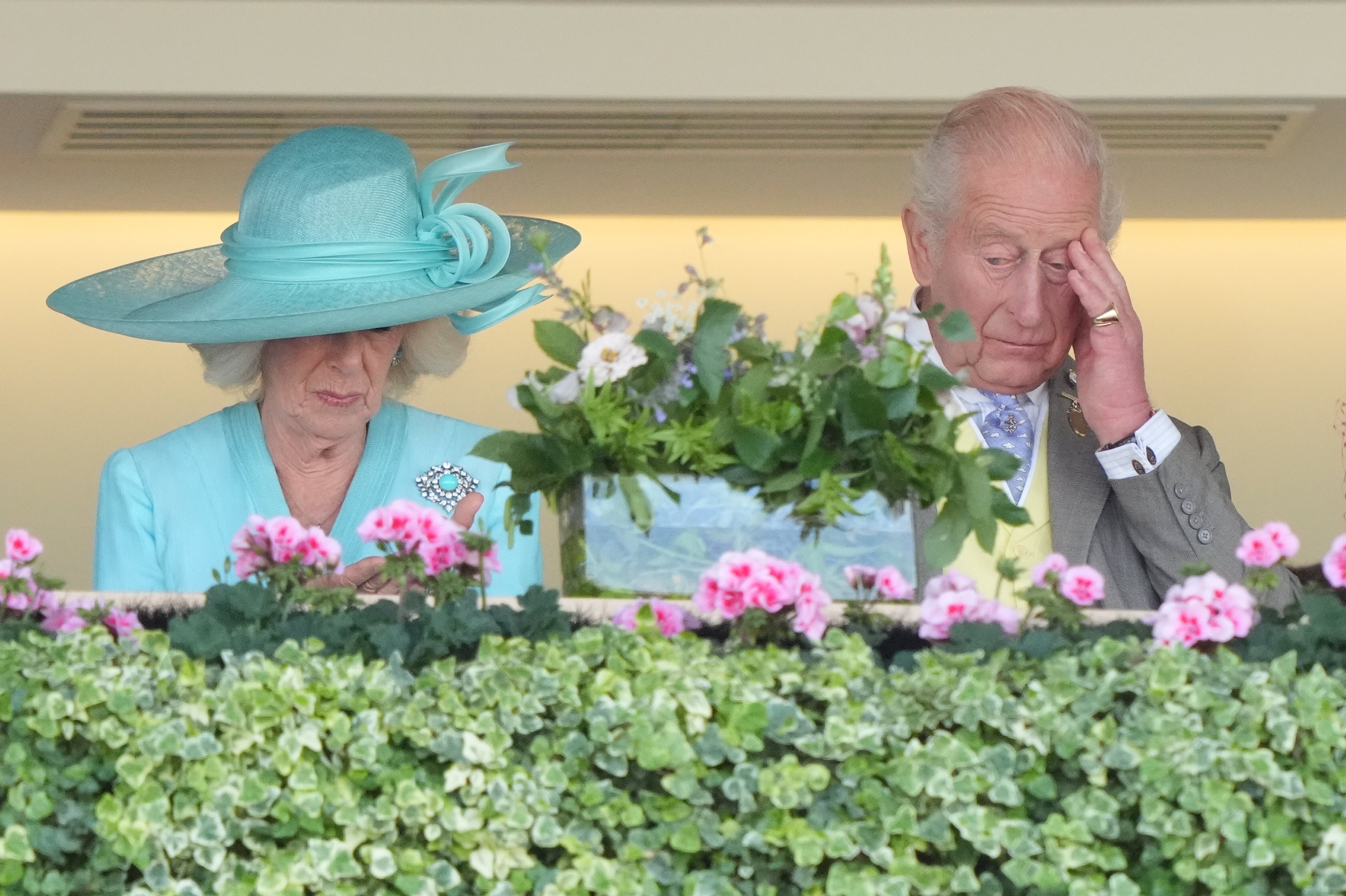 King and Queen denied Royal Ascot winner as Warrant Holder finishes second