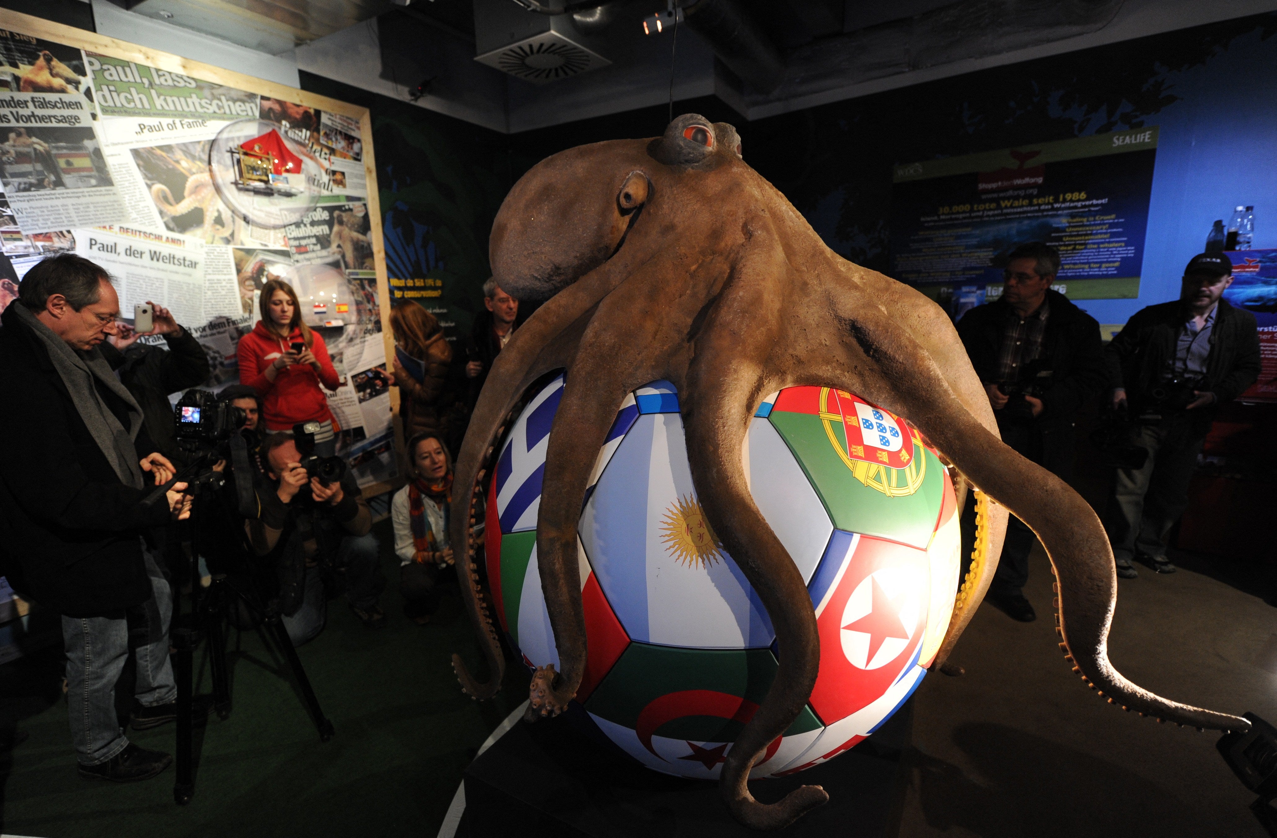 Paul the Octopus previously rose to fame in 2010