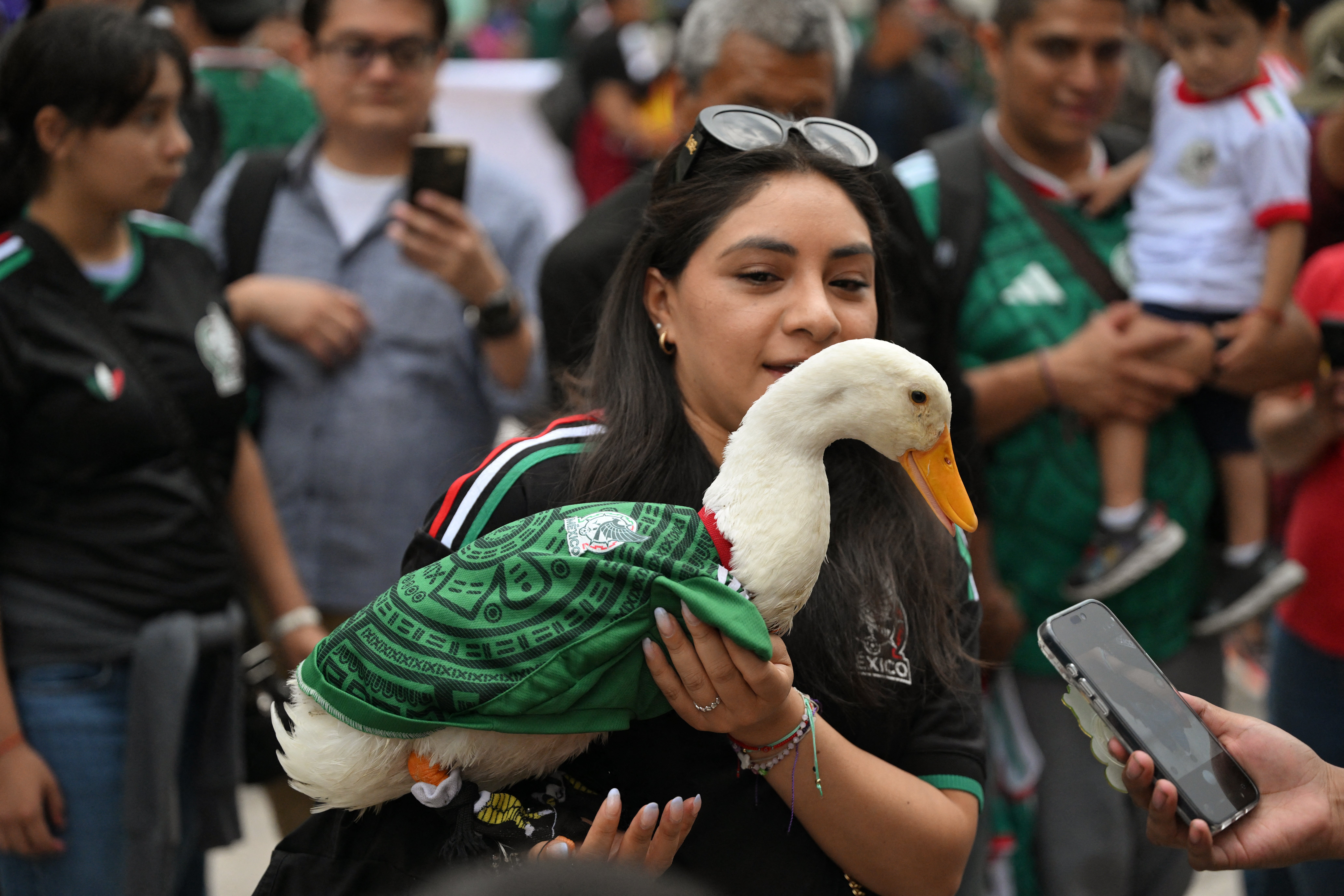 Merlin the Duck has become an unexpected sensation