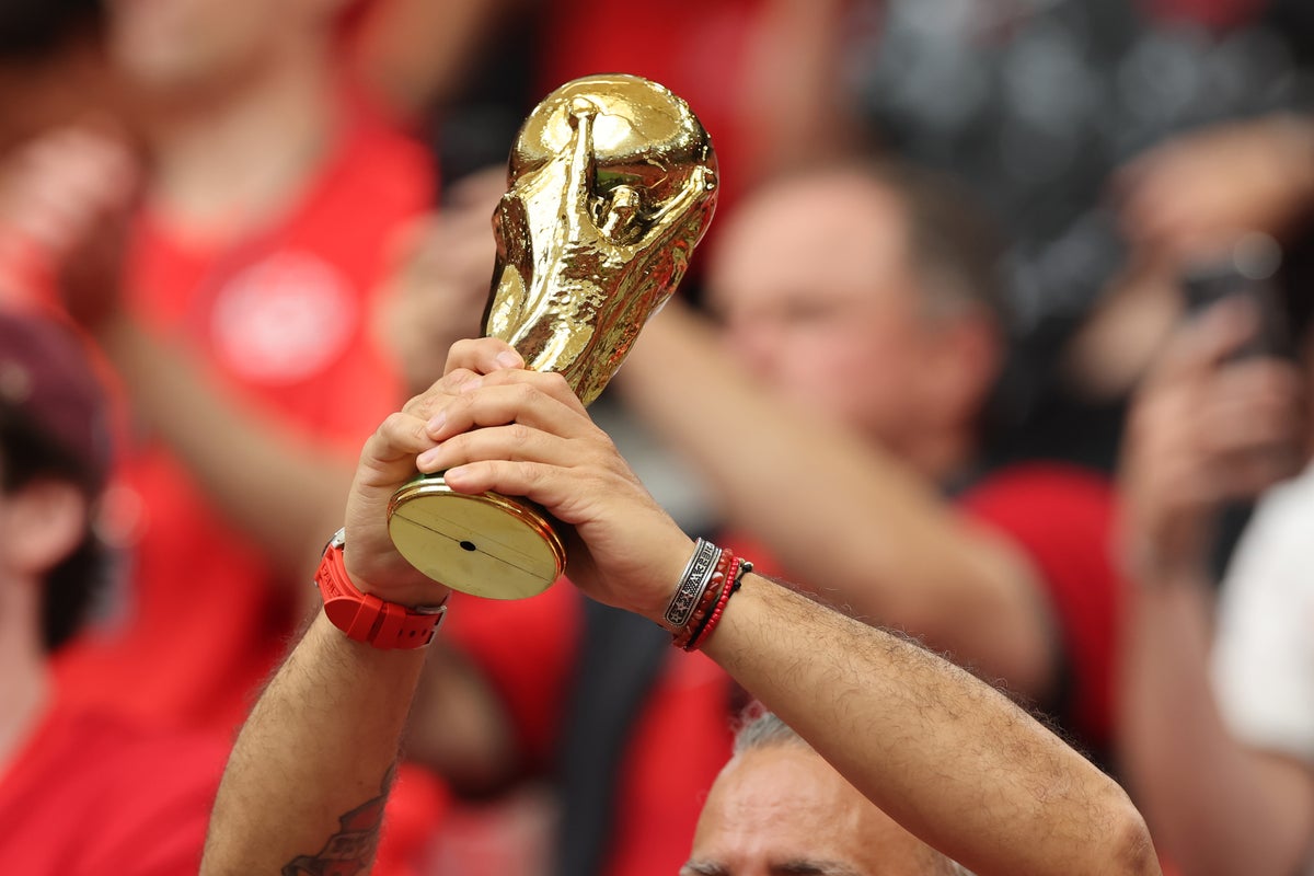 Toronto goldfish Swimbappe making a splash with surprisingly accurate World Cup predictions
