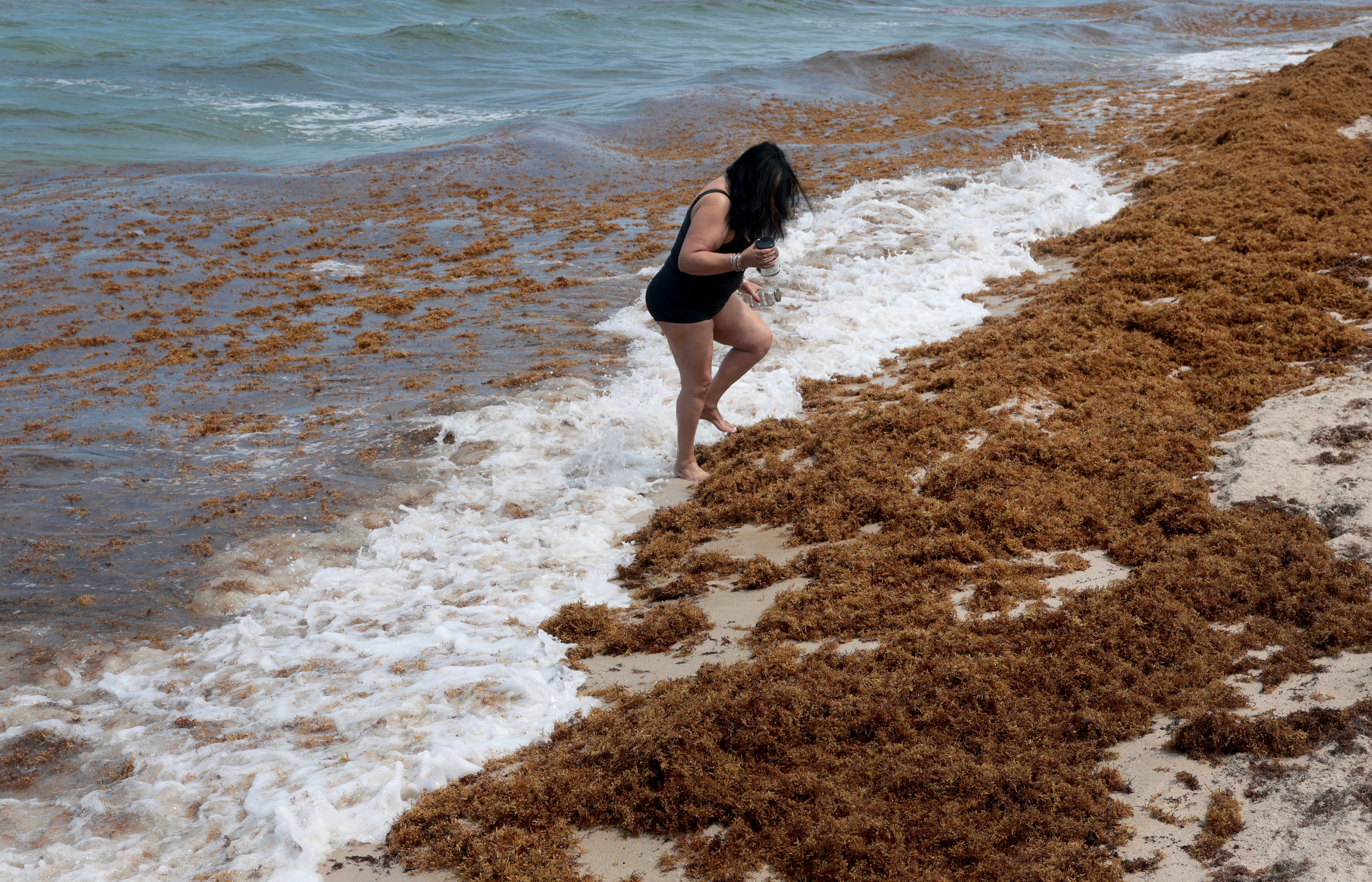 Smelly seaweed is covering Florida beaches – and researchers warn other states to be prepared – UK Times