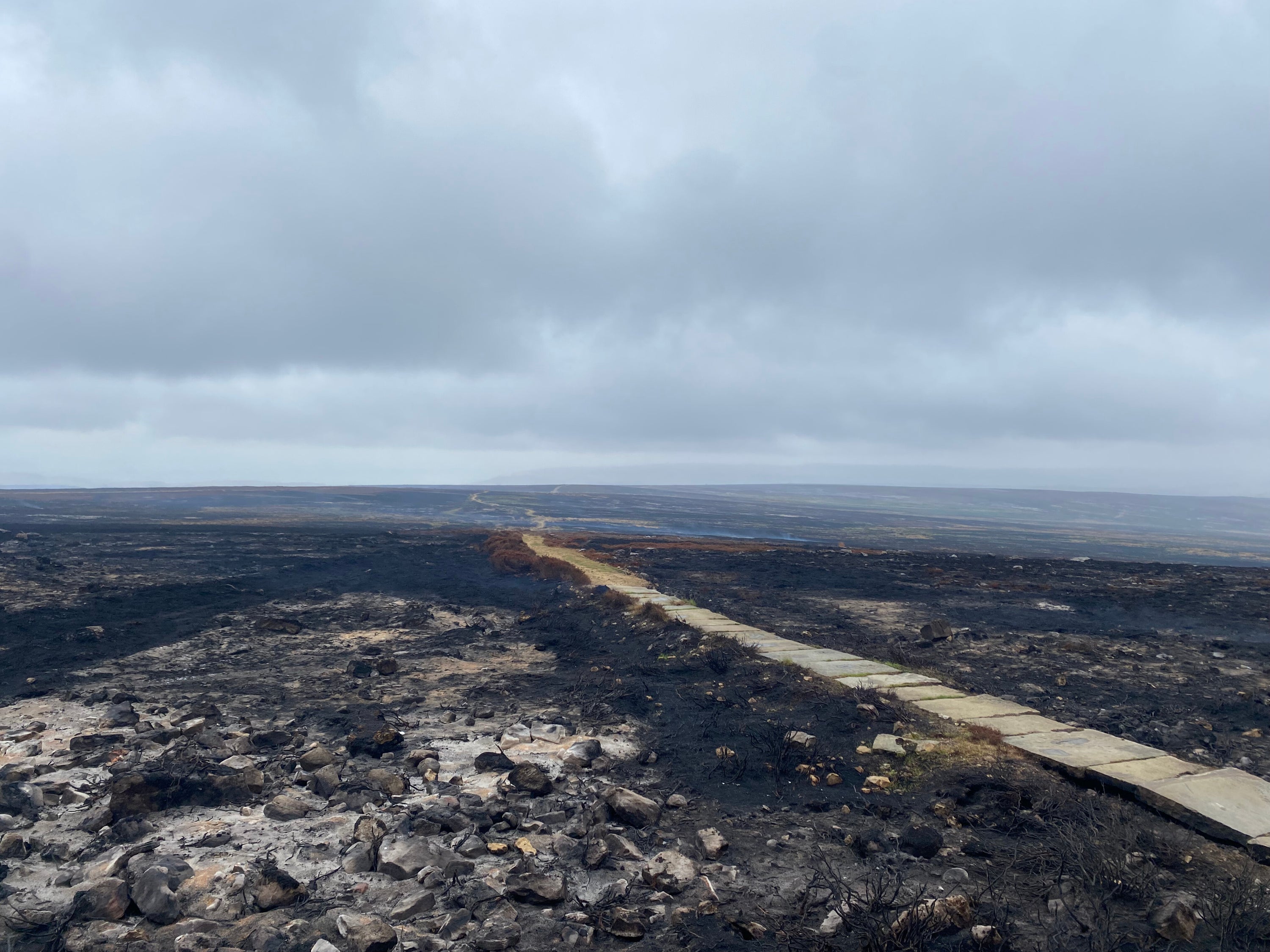 A huge swathe of the North York Moors was engulfed by the fire in August and September 2025 which, at its height covered 10 sq miles (25 sq km), and burned for more than six weeks