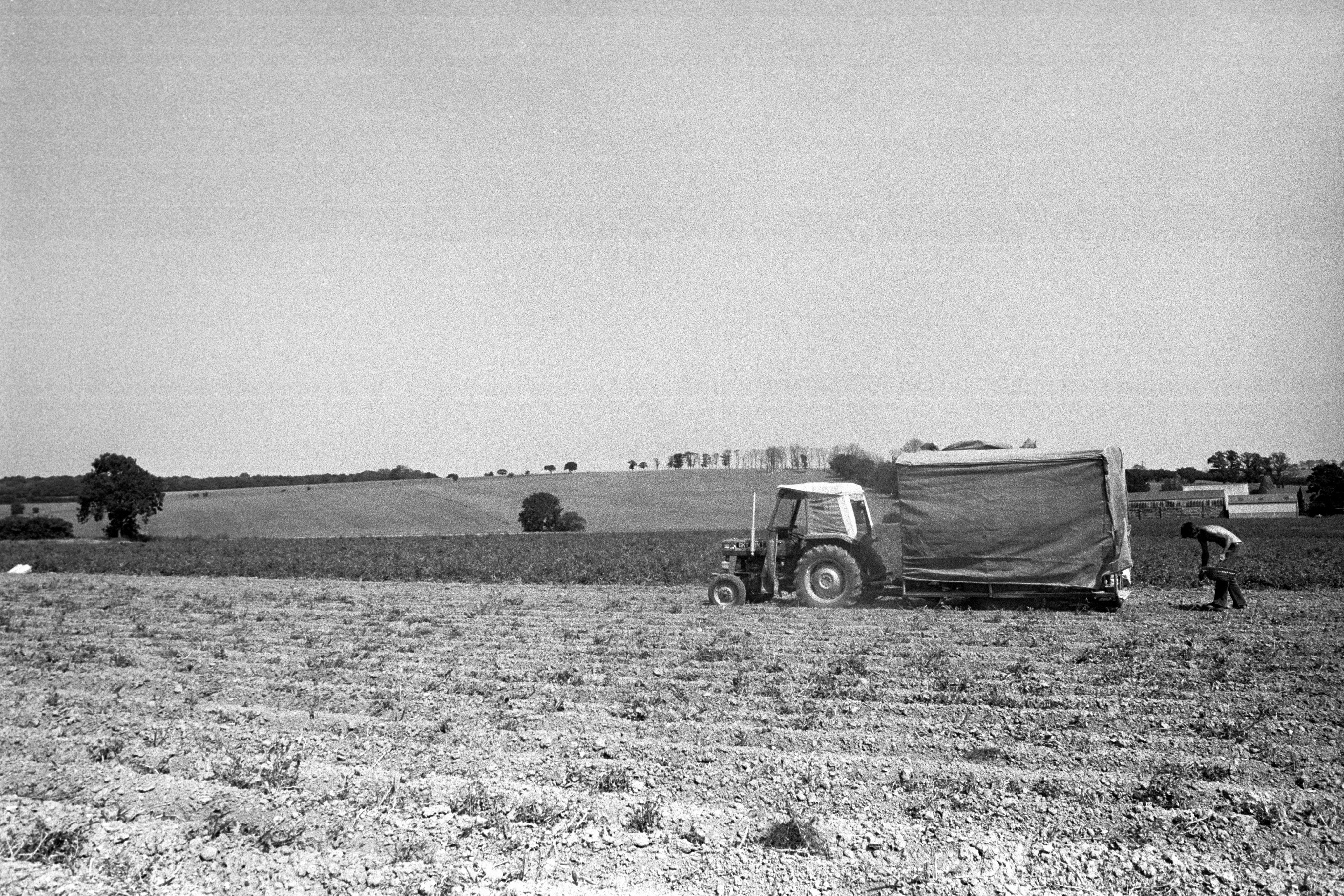 A farmer tends to his drought-hit farmland at Broad Oak in Kent in 1976, which saw many failed harvests and food prices to rise (PA)