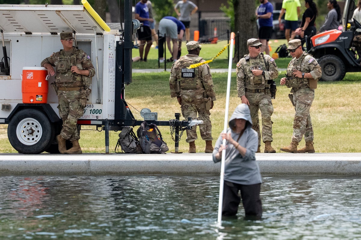 Dead duckling found in Reflecting Pool as Trump’s paint job falls apart and DOJ hunts for ‘vandals’ – UK Times