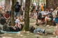 Europe heatwave mapped: France bans alcohol and Spain cancels sporting events as temperatures soar to 40C