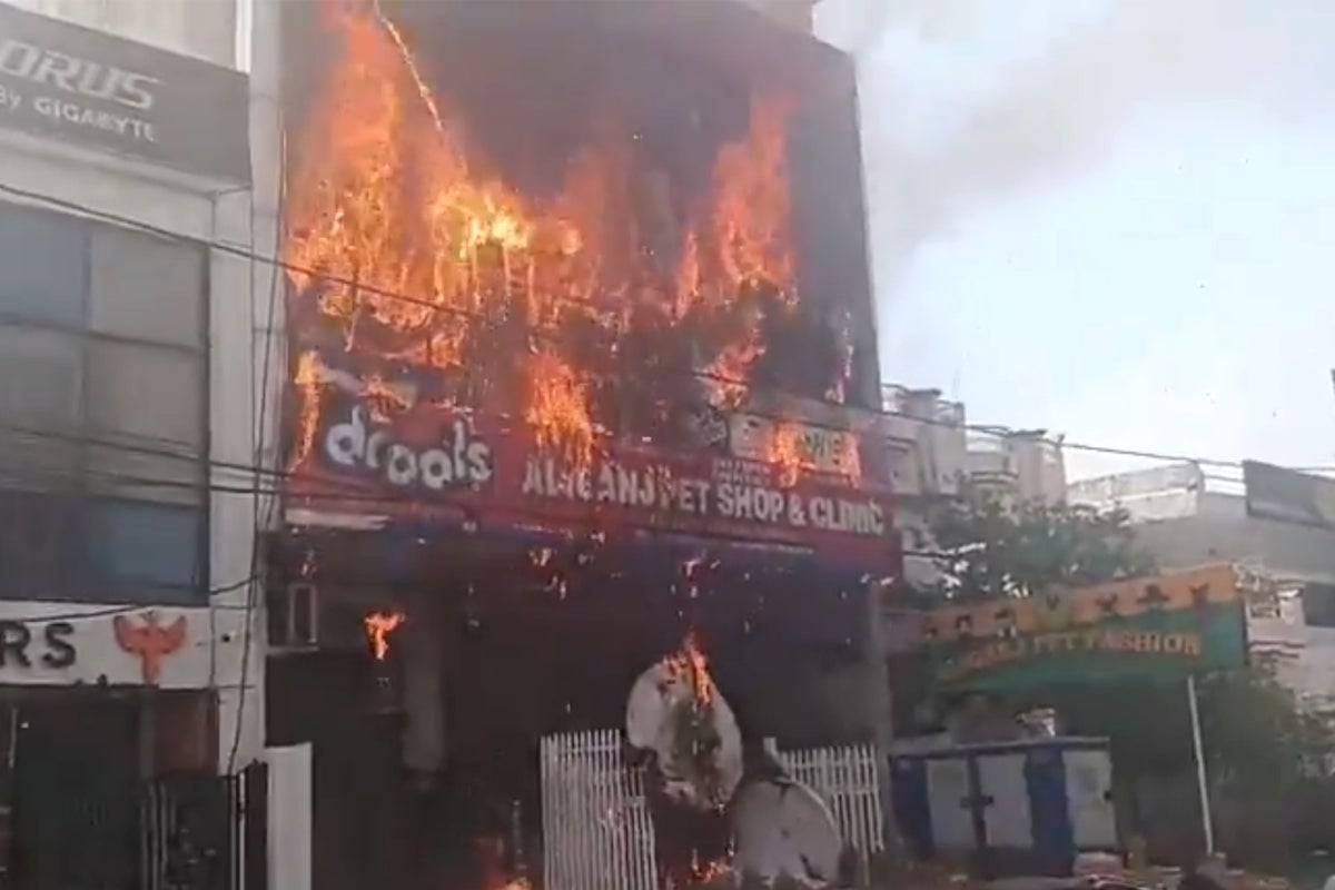 Lucknow coaching centre fire: Major fire in coaching centre of India’s Lucknow kills at least eight as students jump to escape building – UK Times Lucknow coaching centre fire: Major fire in coaching centre of India’s Lucknow kills at least eight as students jump to escape building – UK Times