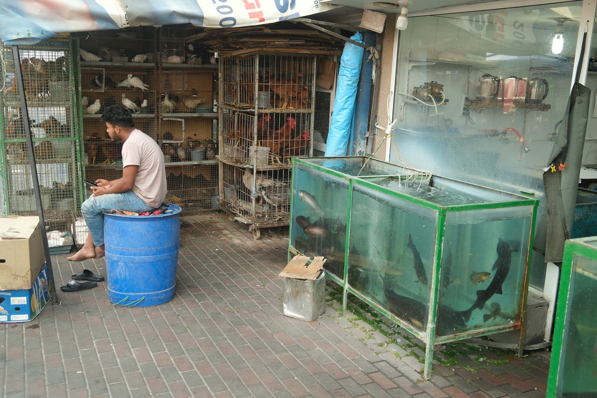 A vendor sits are the Yerevan food market in front of a tank of fish