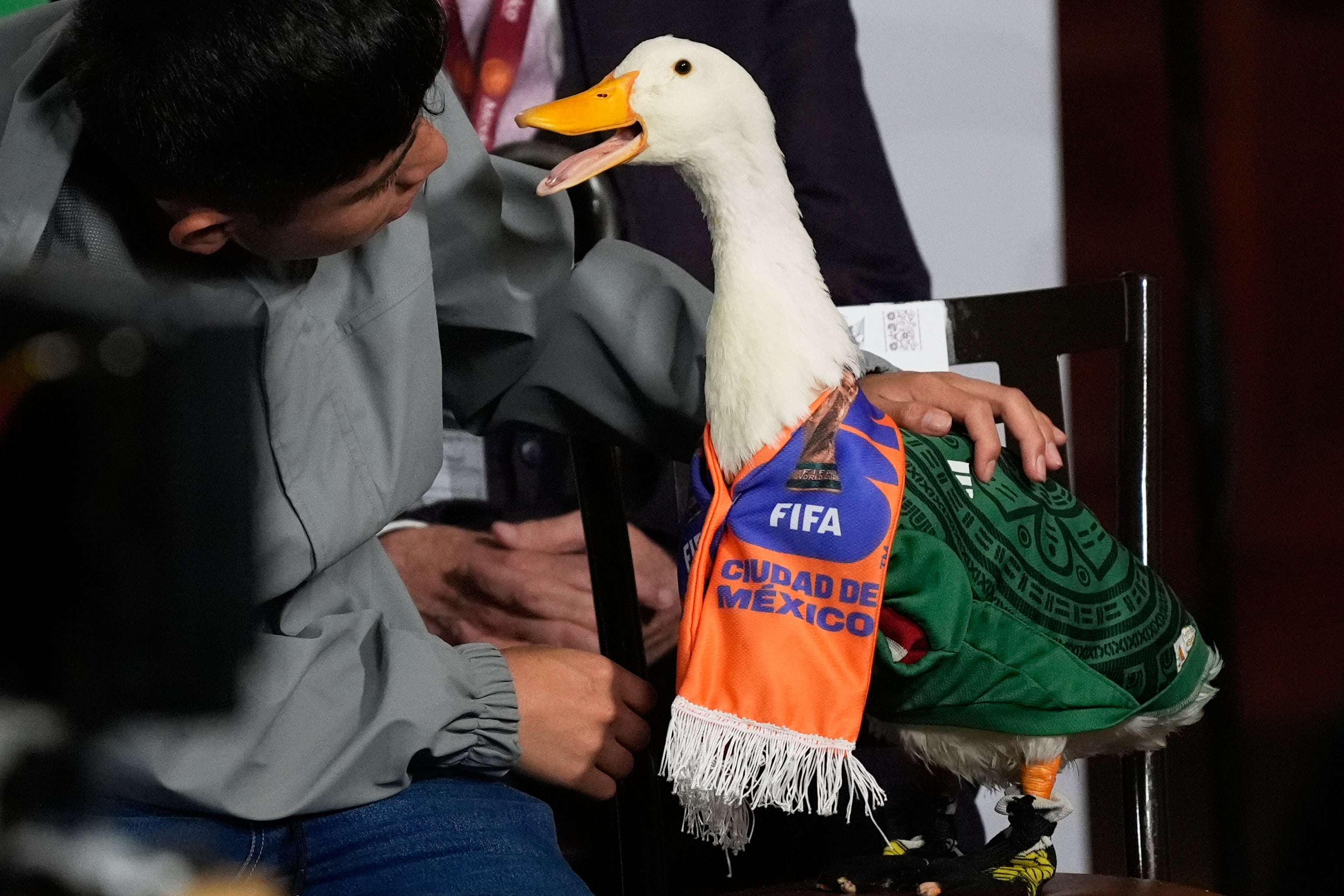 MUNDIAL-MÉXICO-PATO